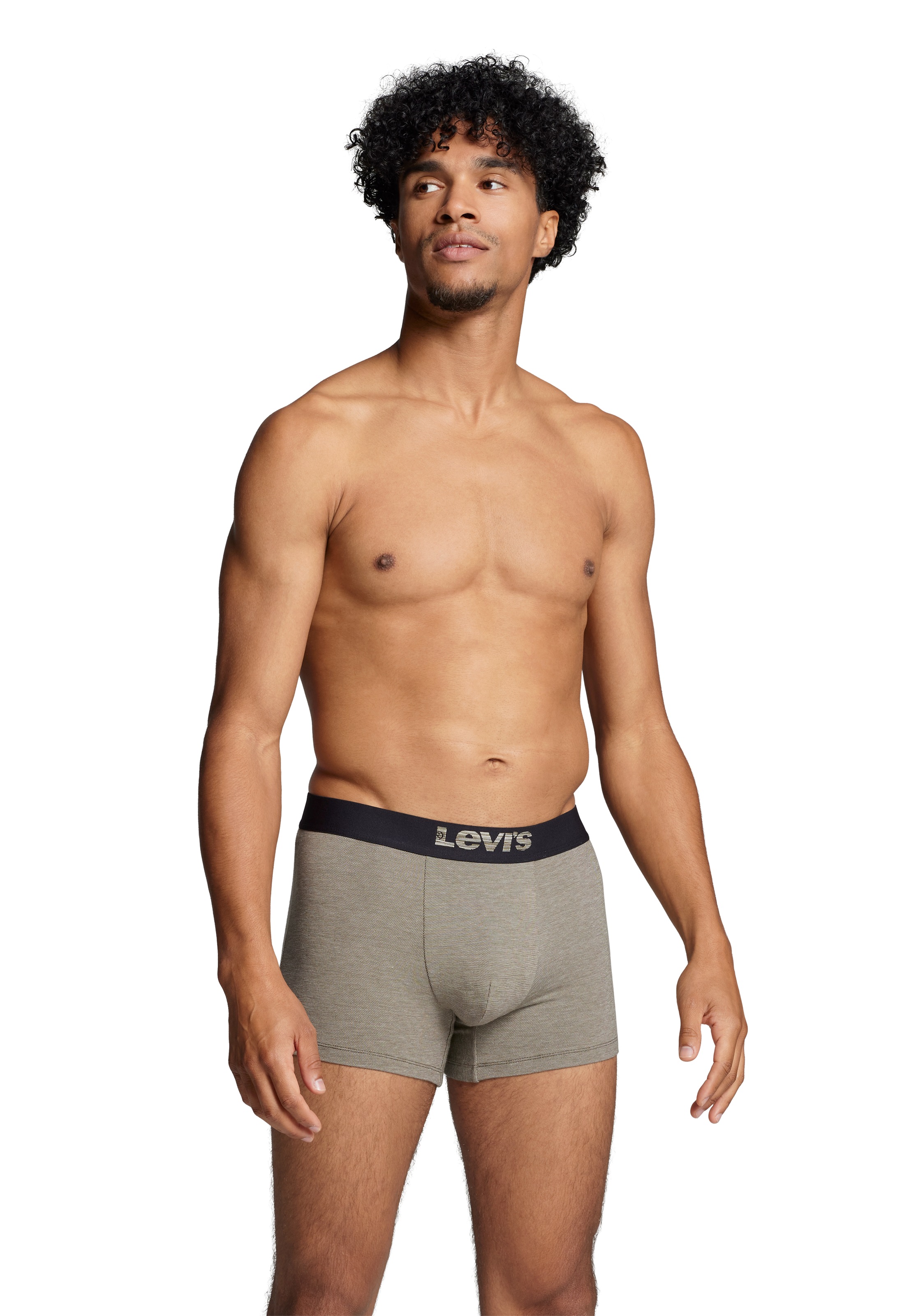 Levis Boxershorts "LEVIS MEN MEL WB BOXER BRIEF ORG CO 2P", (2er Pack), mit günstig online kaufen