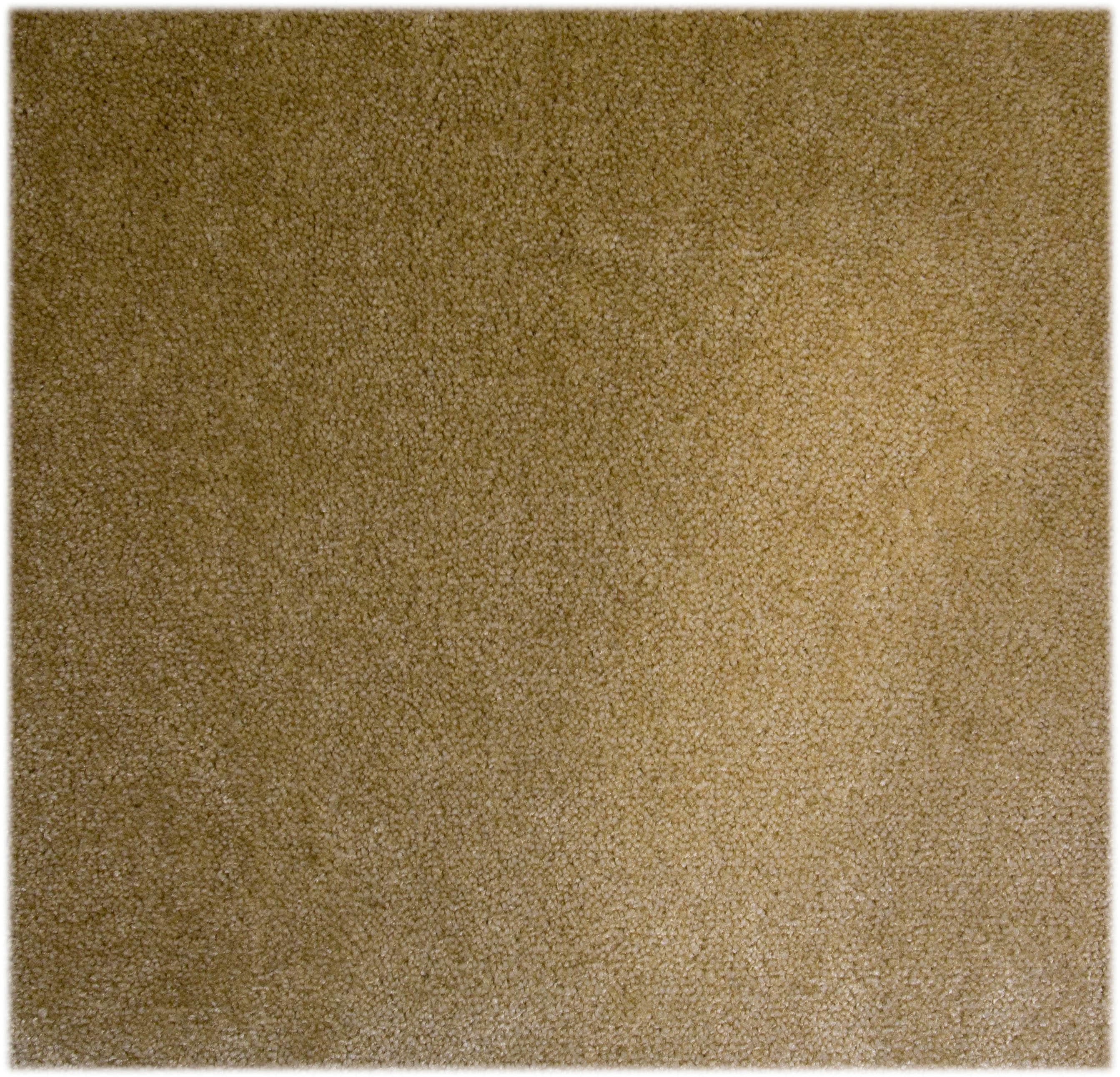 ANDIAMO Teppichboden "Levin, Velours, Made in Belgium", B : 500cm 1 Stk., 10mm, L: 400cm, grün, Schlafzimmer, Teppiche, Uni Farben, Breite 400 cm