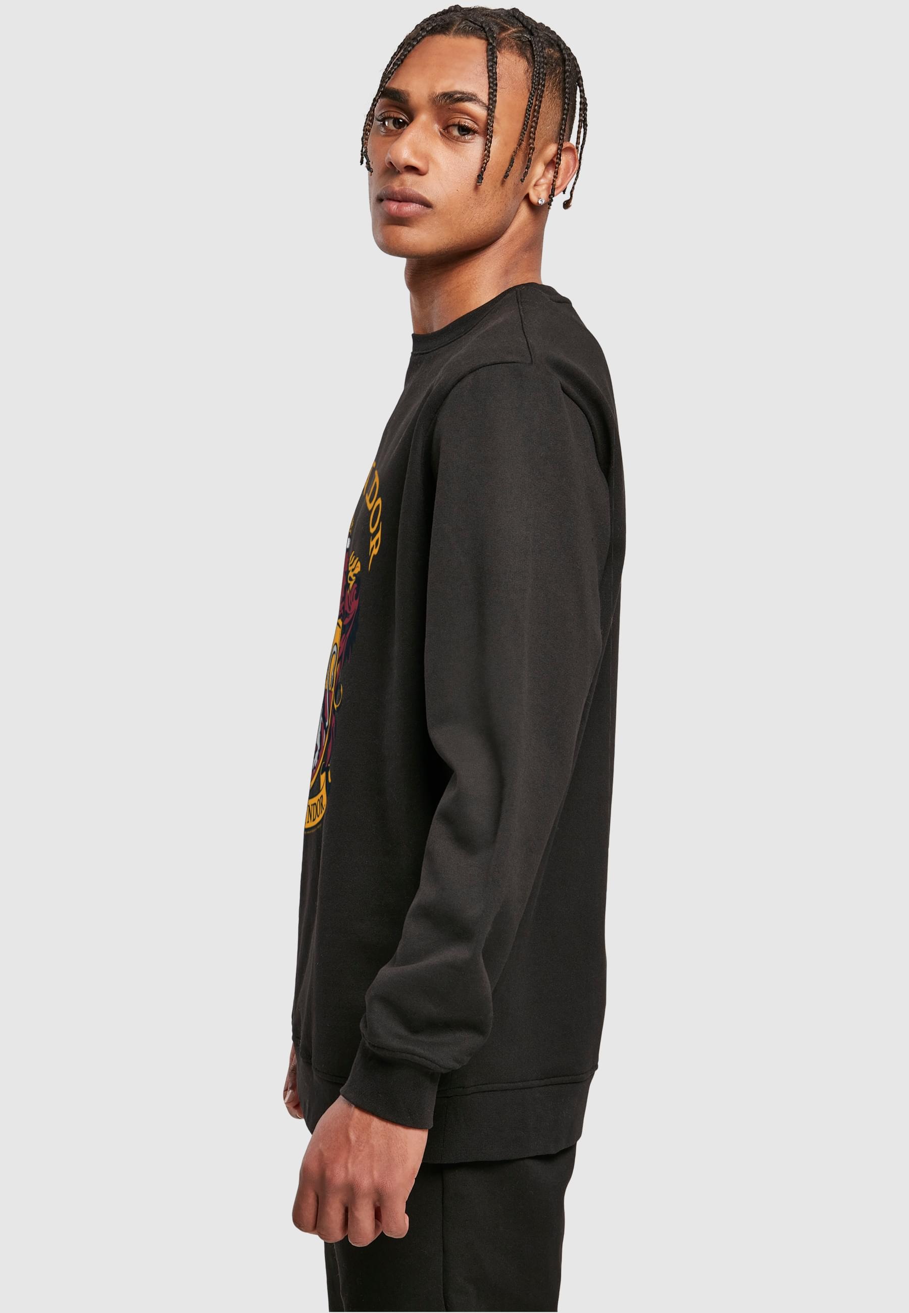 ABSOLUTE CULT Rundhalspullover »ABSOLUTE CULT Herren Harry Potter - Gryffindor Crest Crewneck«, (1 tlg.)