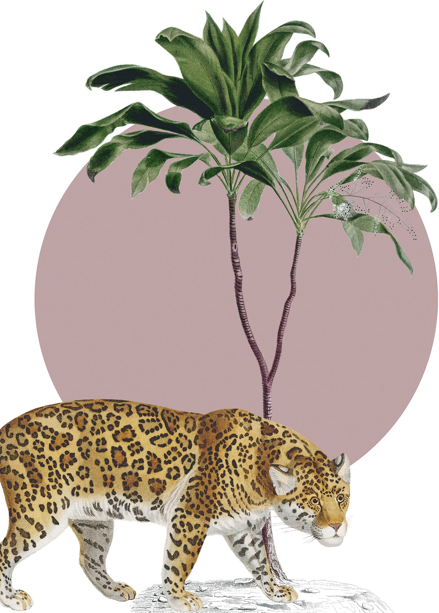 Komar Bild "Botanical Garden Jaguar" Natur 1 Stk. tlg. Wandbild zur Dekorat günstig online kaufen