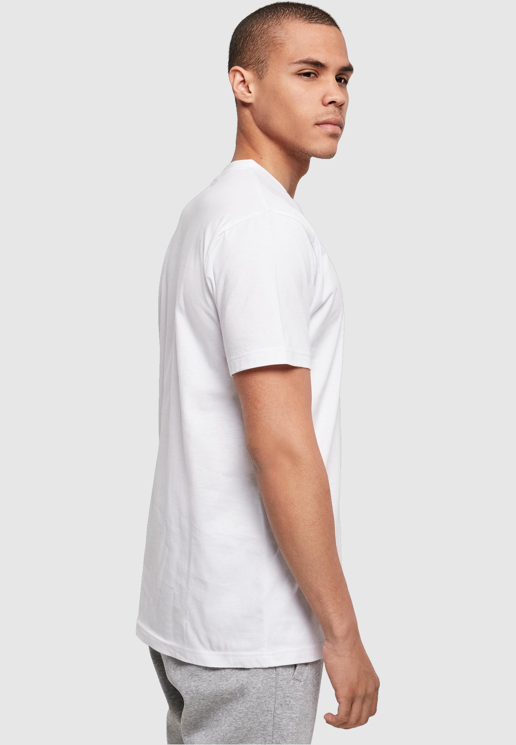 ABSOLUTE CULT T-Shirt »ABSOLUTE CULT Herren Aquaman - Aqua Silhouette T-Shirt«, (1 tlg.)