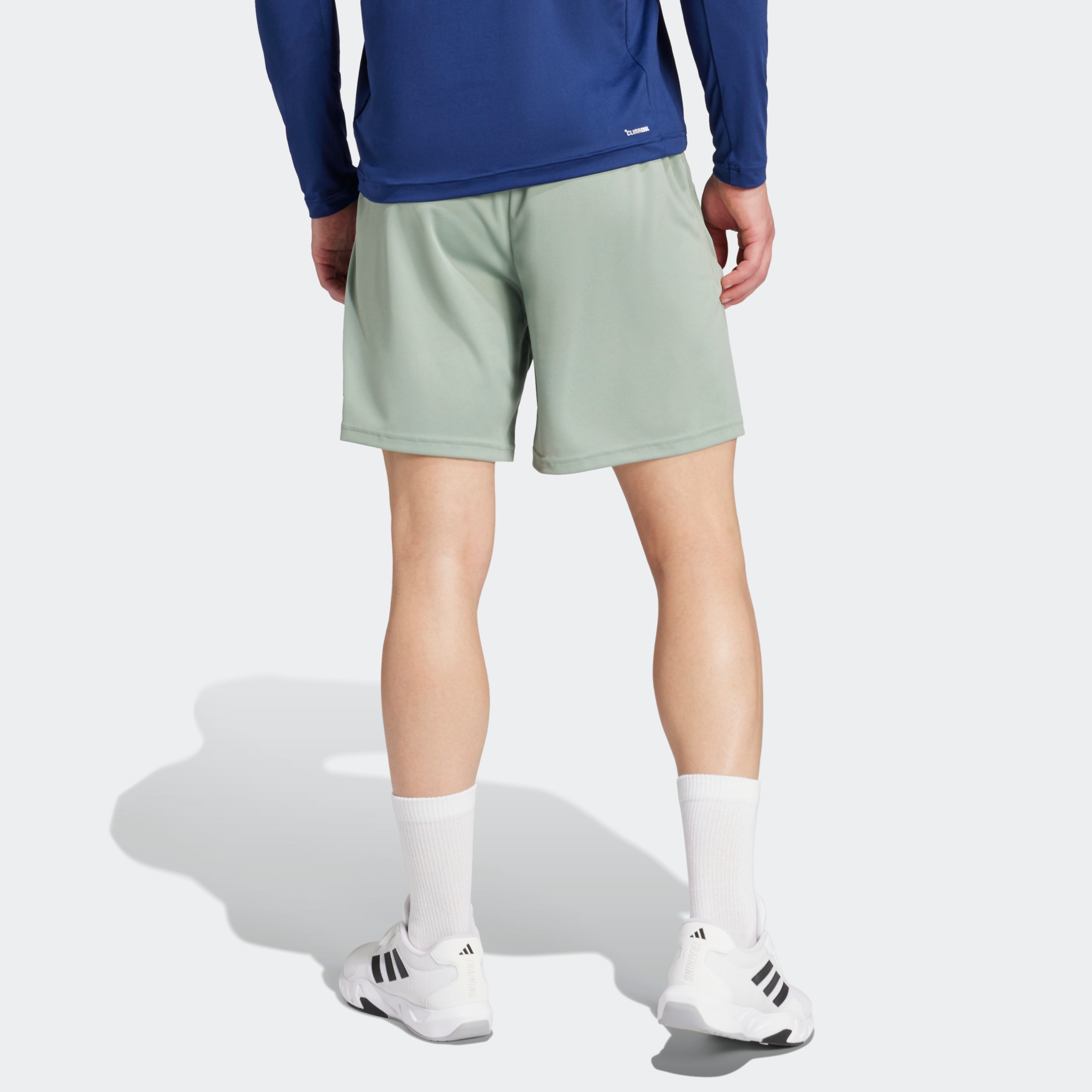 adidas Performance Shorts »TRAIN ESSENTIALS LOGO TRAINING«, (1 tlg.)