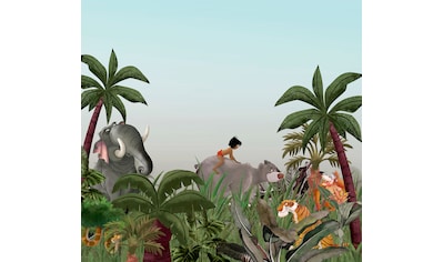 Komar Fototapete »Jungle Book«, Comic-mehrfarbig kaufen