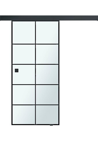Glasschiebetür »Toja, ESG Satinato S76/20«