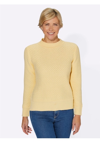 Stehkragenpullover »Pullover«