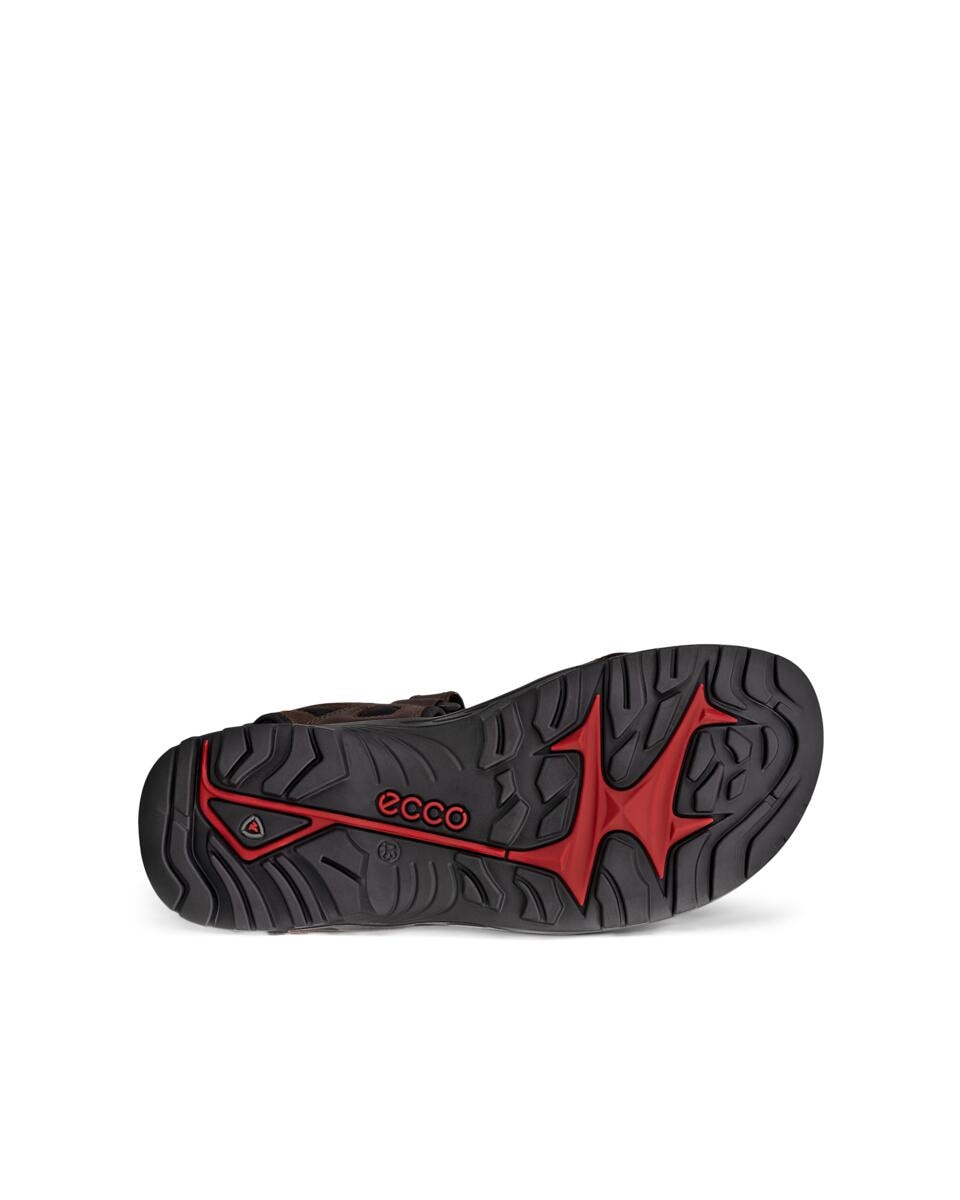 Ecco Outdoorsandale »Offroad«, Sommerschuh, Klettschuh, Outdoorschuh, in Trekking-Optik