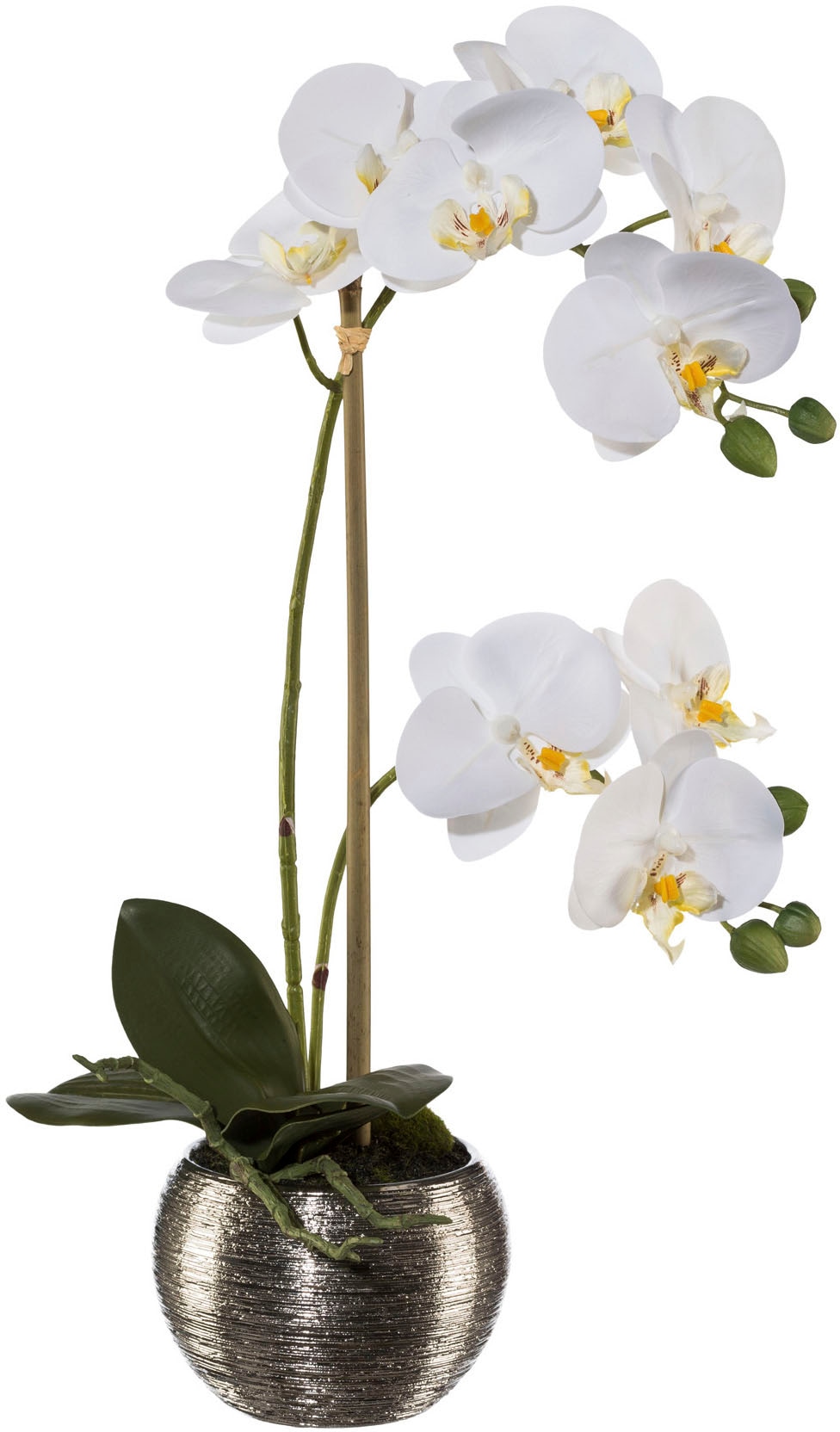 Creativ green Kunstorchidee »Phalaenopsis im Silbertopf«, mit Real-Touch-Blüten