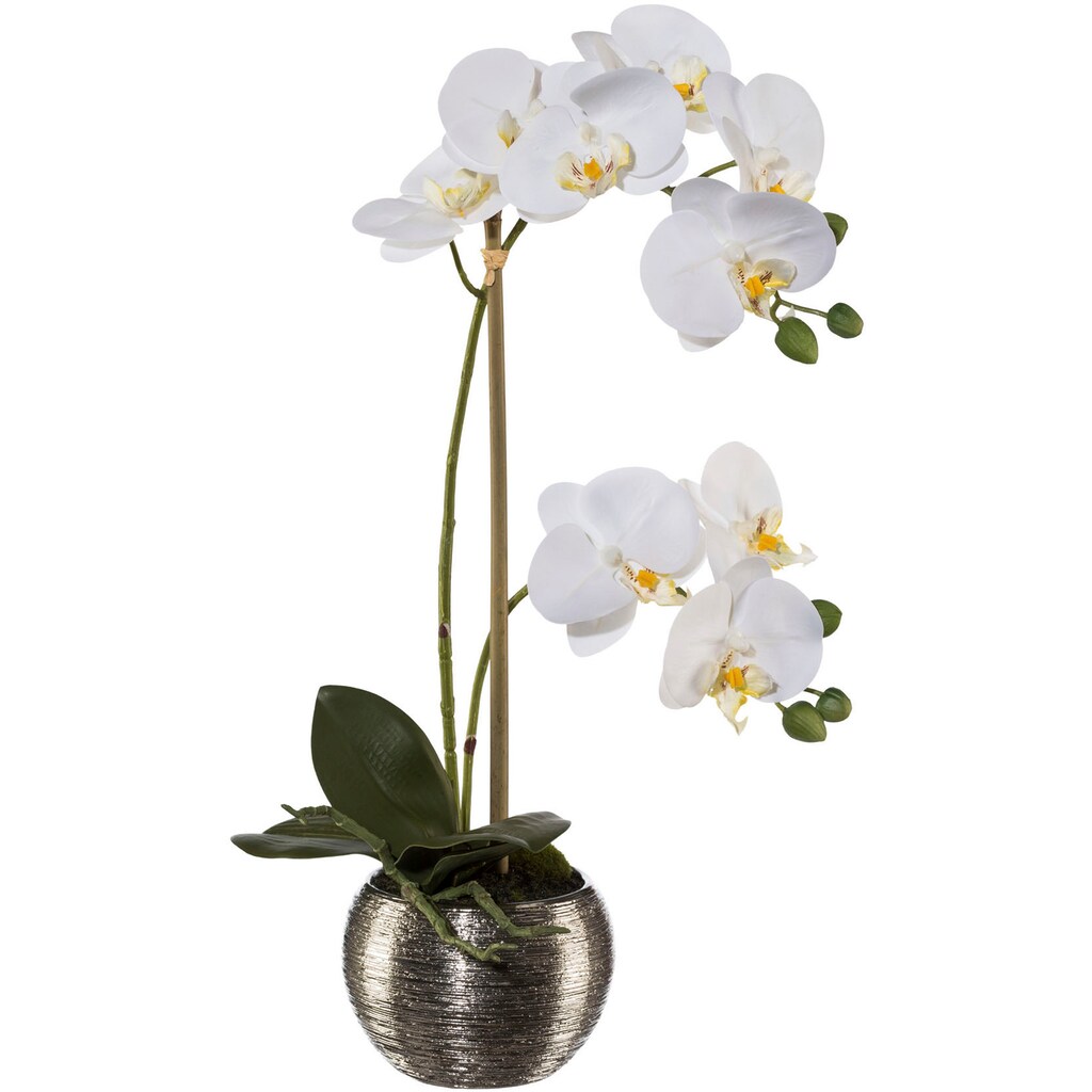 Creativ green Kunstorchidee »Phalaenopsis im Silbertopf«