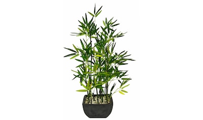 Kunstpflanze »Bambus«