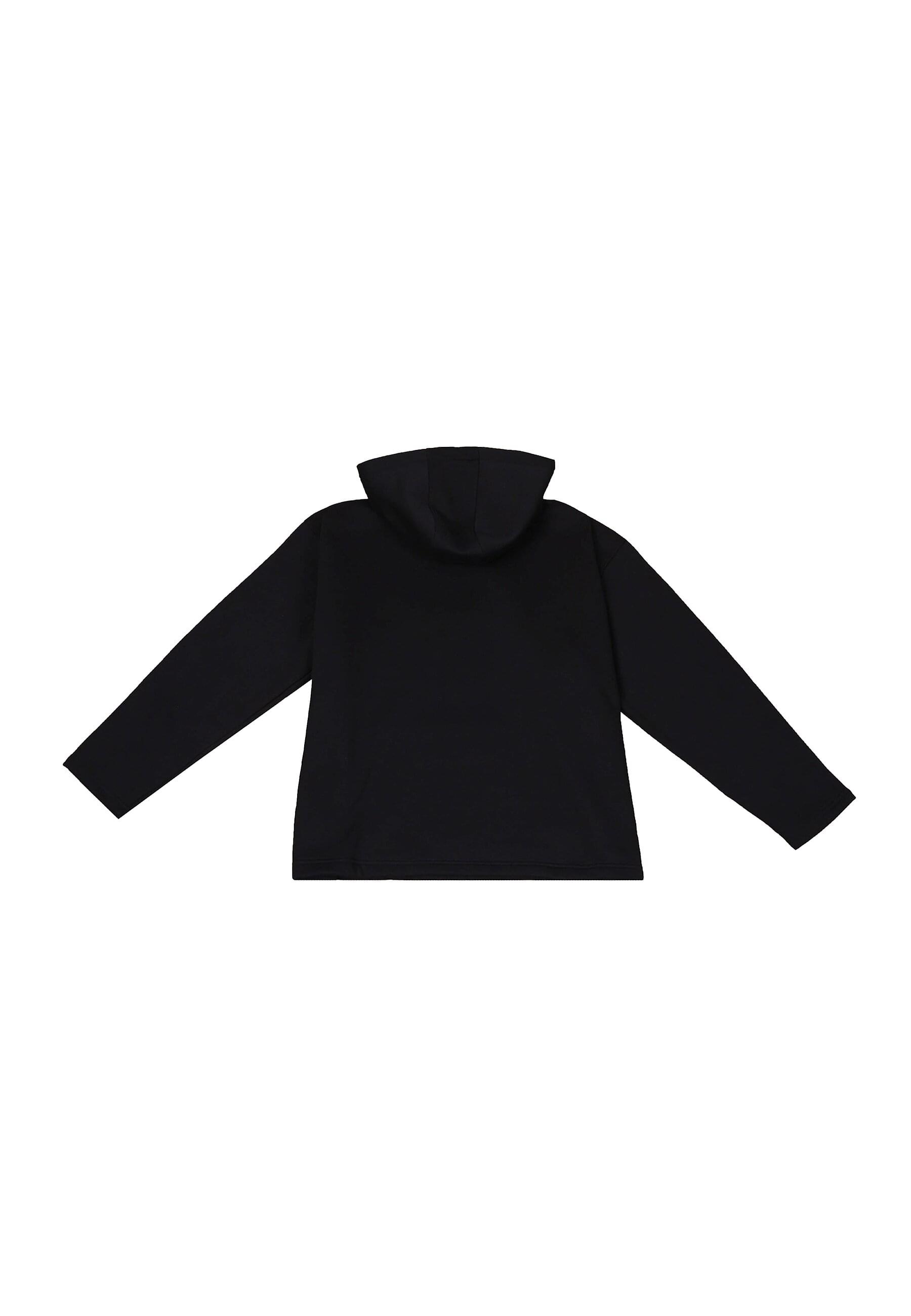Dropsize Kapuzensweatshirt "Dropsize HEAVY OVERSIZE RELAXED FIT HOODIE", 1 günstig online kaufen