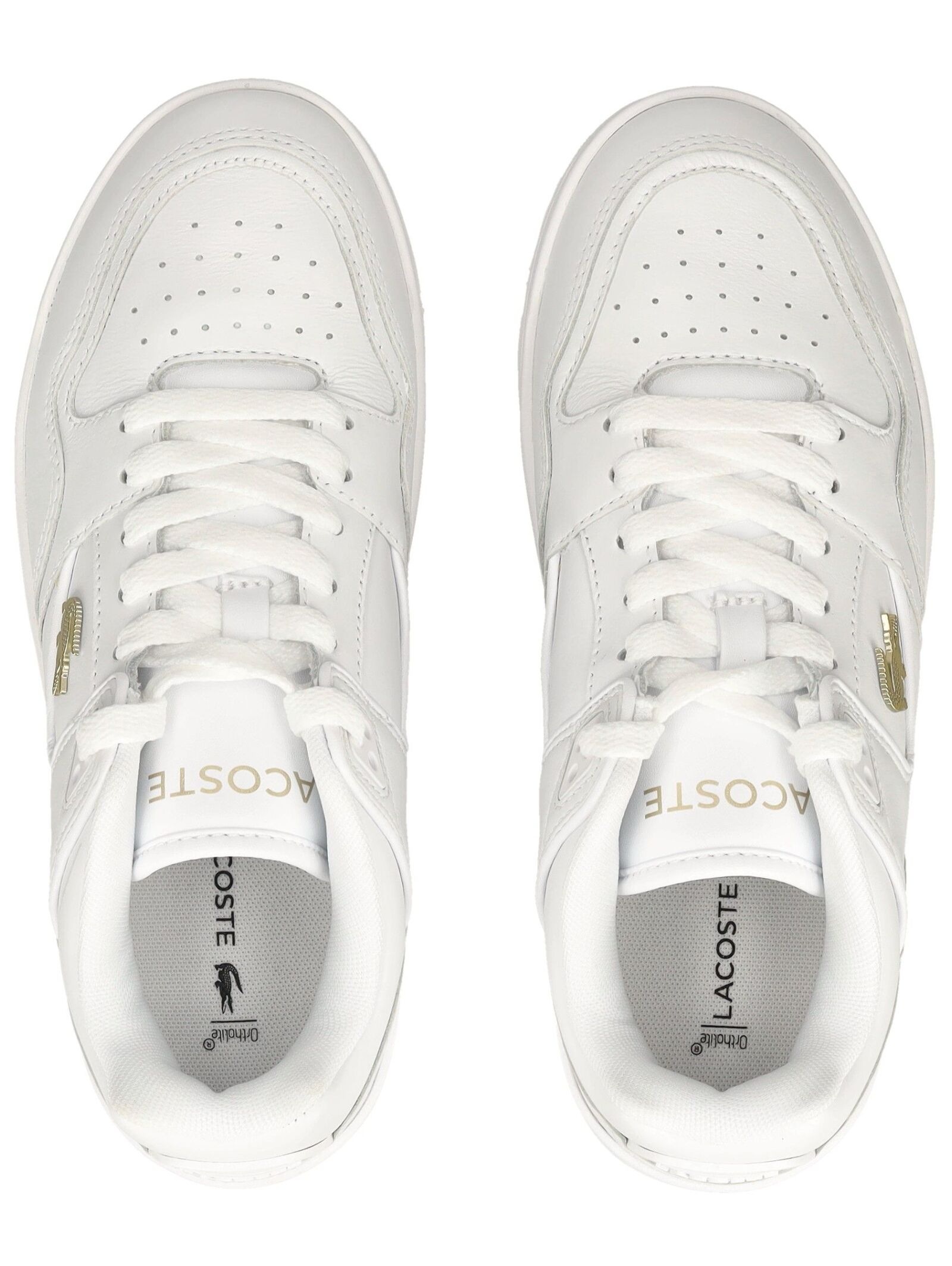 Lacoste Sneaker »lacoste Sneaker Leder«