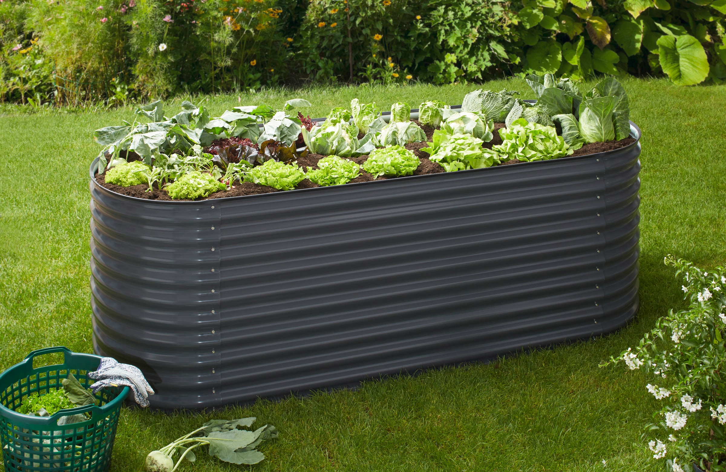 KONIFERA Hochbeet ", bodenloses Gartenbeet aus verzinktem Stahl", witterung günstig online kaufen