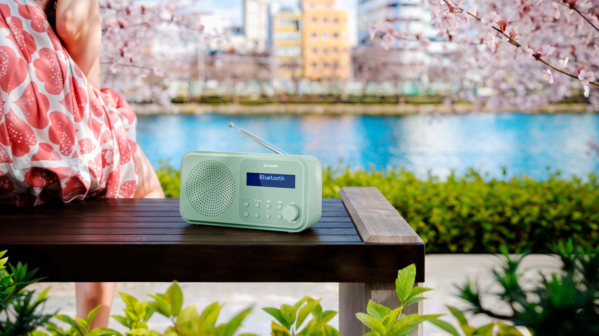 Sharp Digitalradio (DAB+) »TOKYO DR-P420« (A2DP Bluetooth | AVRCP Bluetooth | Bluetooth Digitalradio (DAB+) | FM-Tuner mit RDS 2 W)