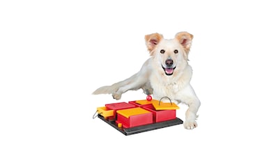 TRIXIE Tier-Intelligenzspielzeug »Poker Box«, Kunststoff kaufen