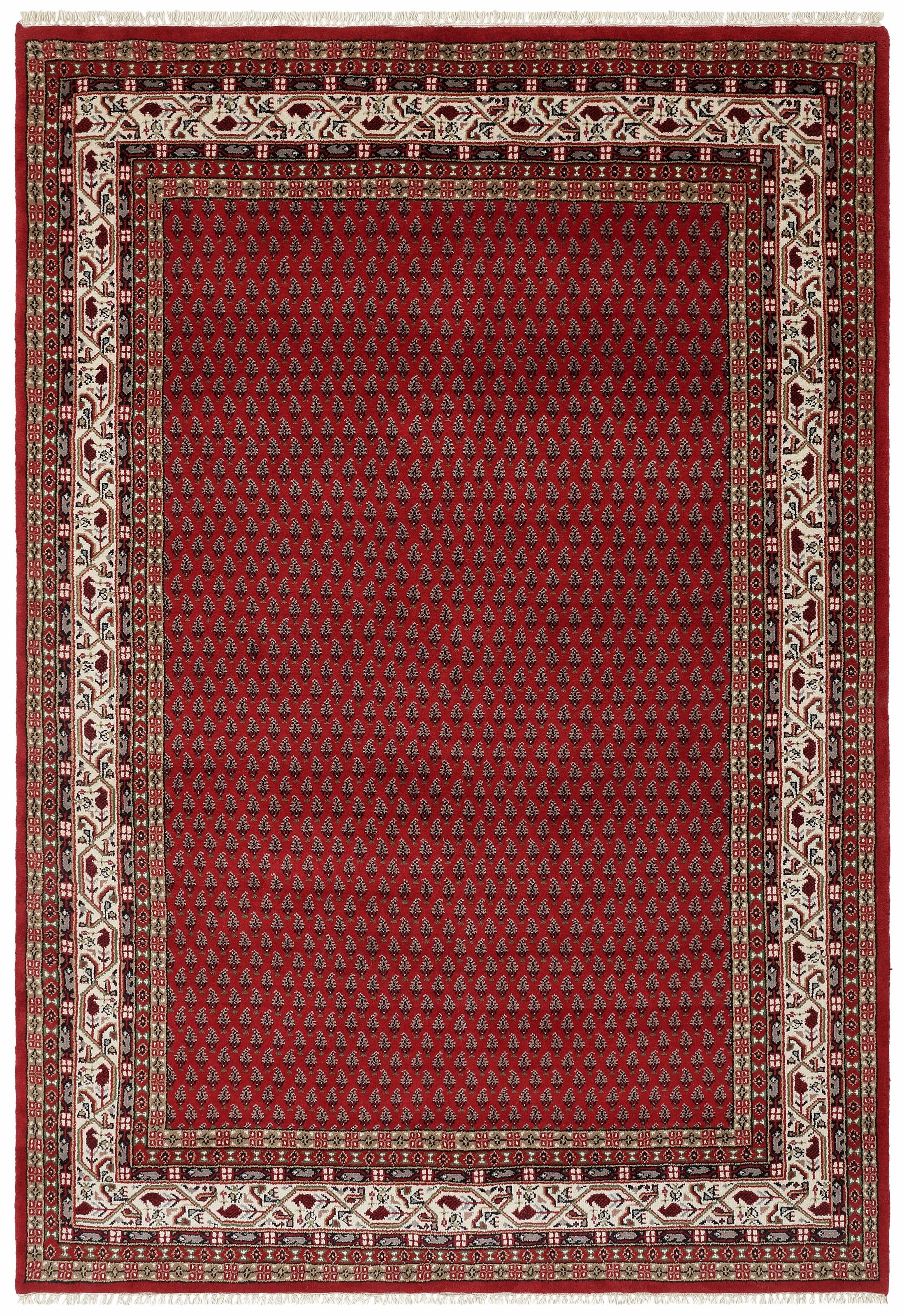 THEKO Orientteppich »Chandi Mir«, rechteckig, 12 mm Höhe, reine Wolle, handgeknüpft, mit Fransen