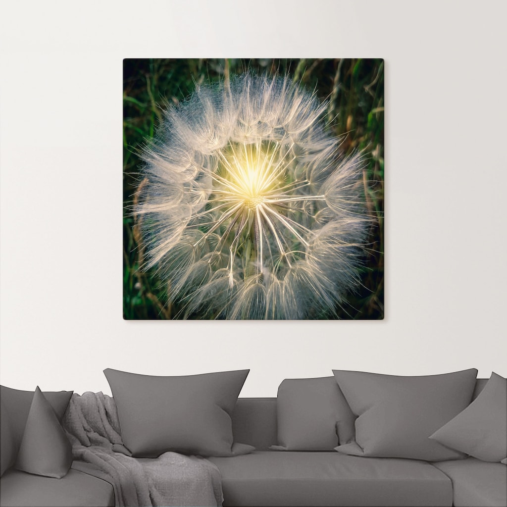 Artland Leinwandbild »Pusteblume Makroaufnahme mit Licht«, Blumenbilder, (1 St.)