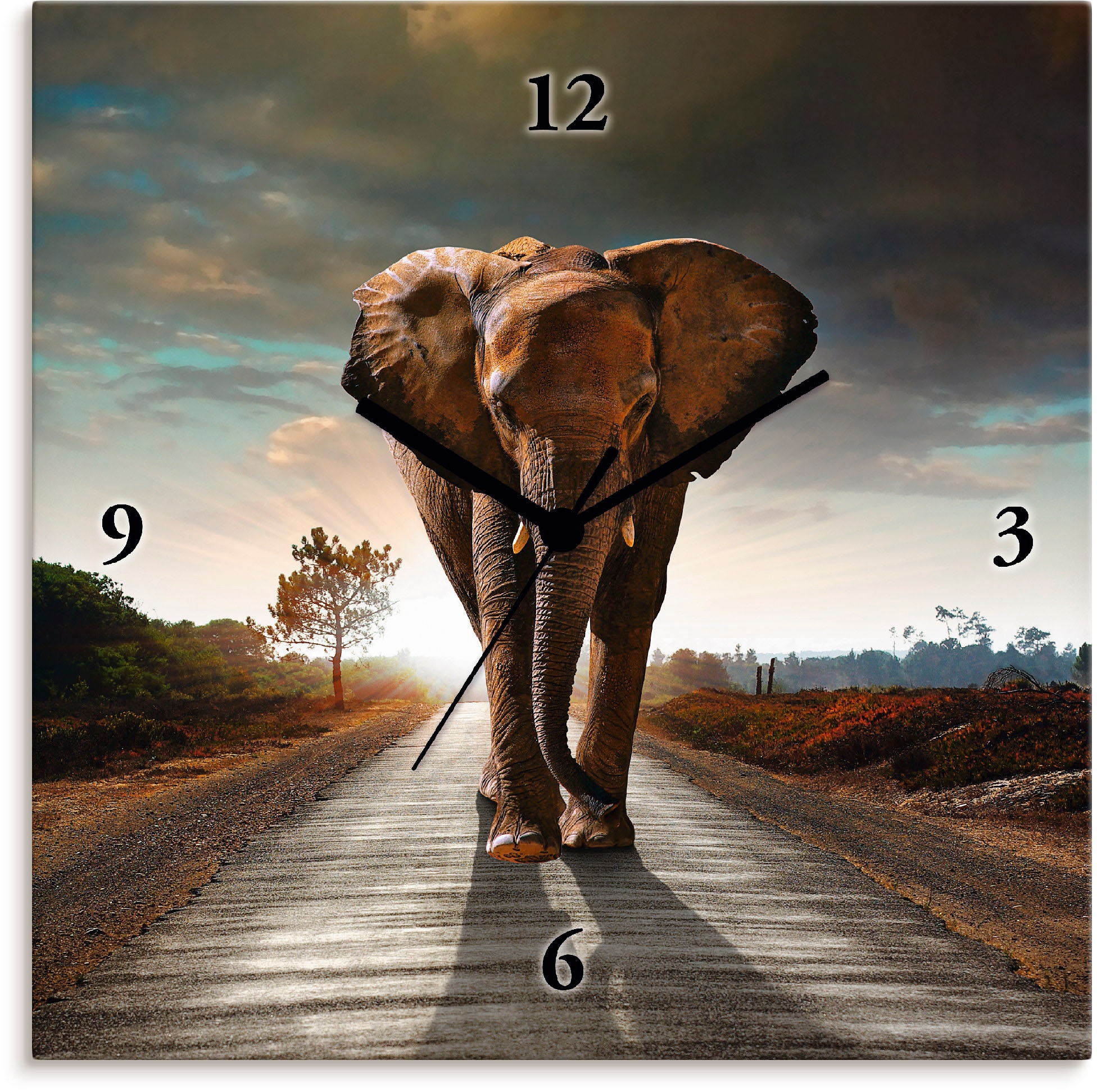 Wanduhr »Ein Elefant läuft auf der Straße«, wahlweise mit Quarz- oder Funkuhrwerk,...