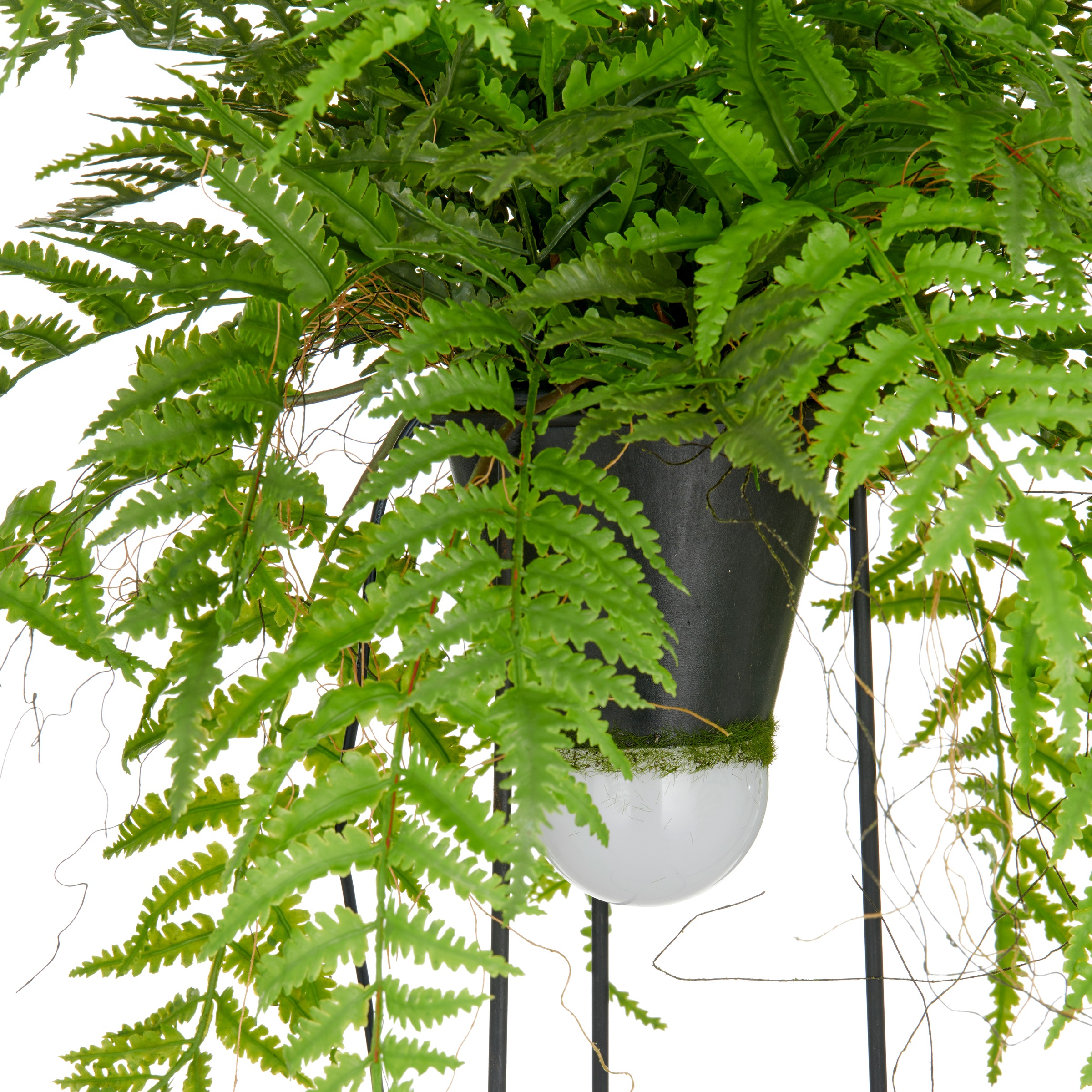 Creativ green Kunstpflanze »Farn als Dekostandleuchte«, mit LED-Beleuchtung