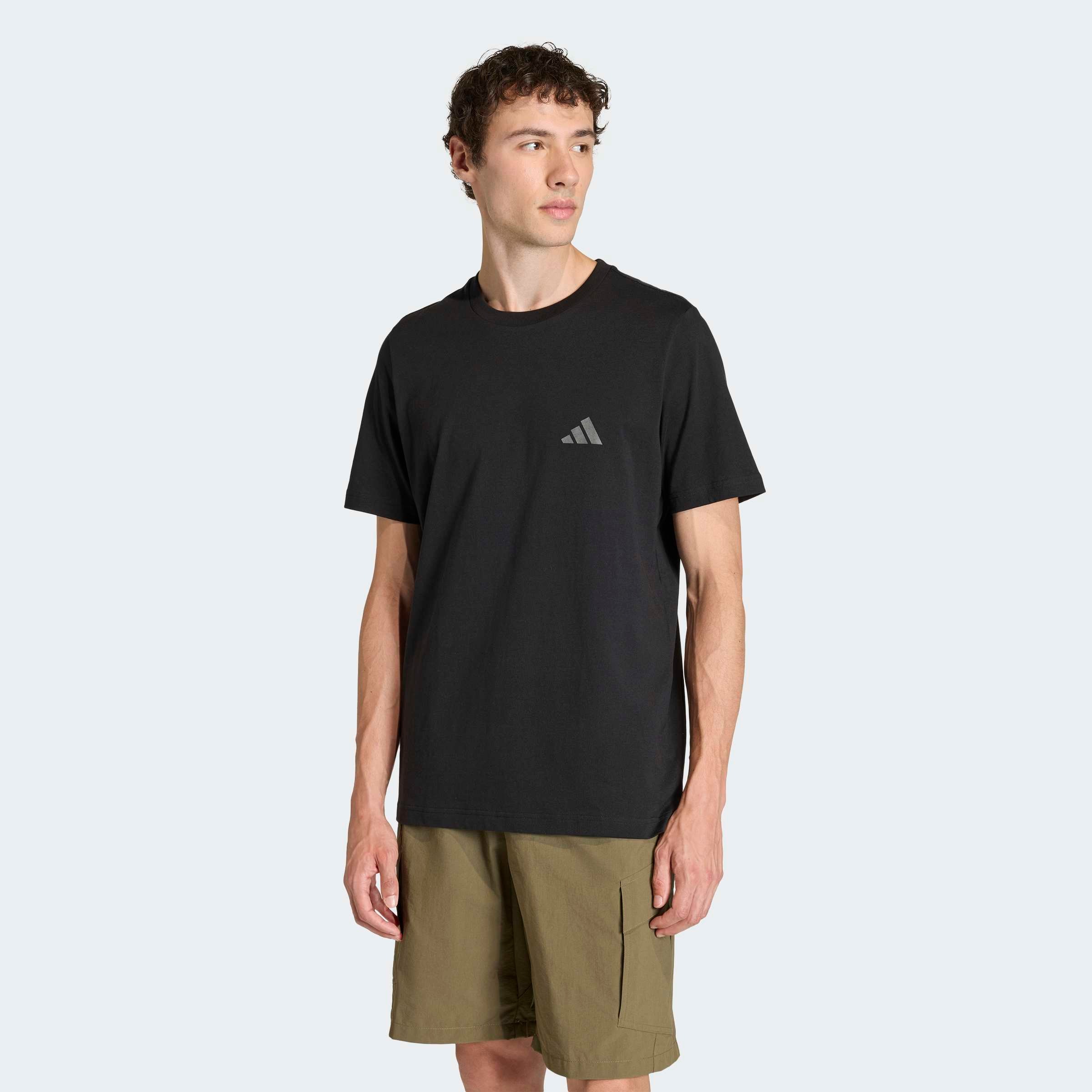 adidas TERREX Funktionsshirt "MOUNTAIN GRAFIK" günstig online kaufen