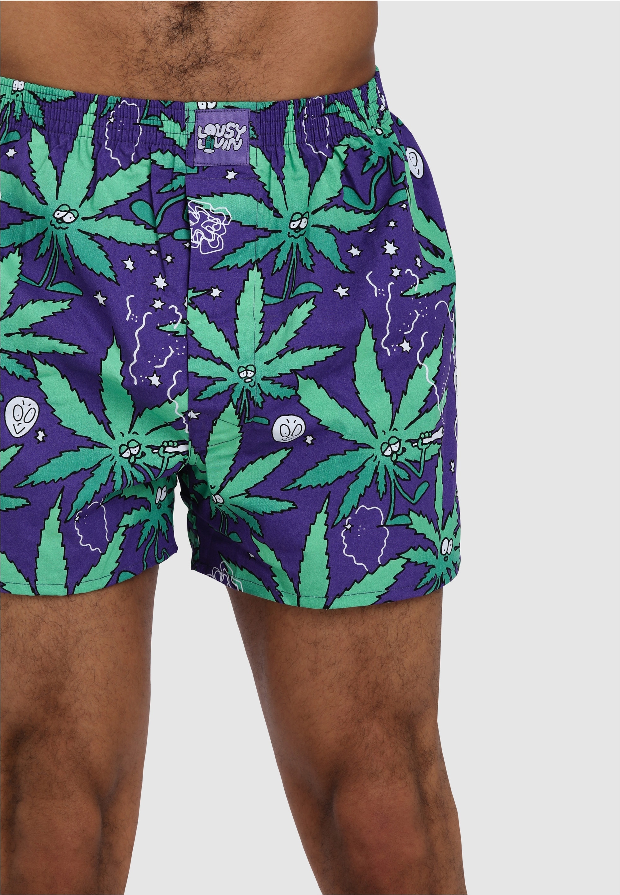 Lousy Livin Boxershorts »Weedy & Broccoli«, mit buntem Design