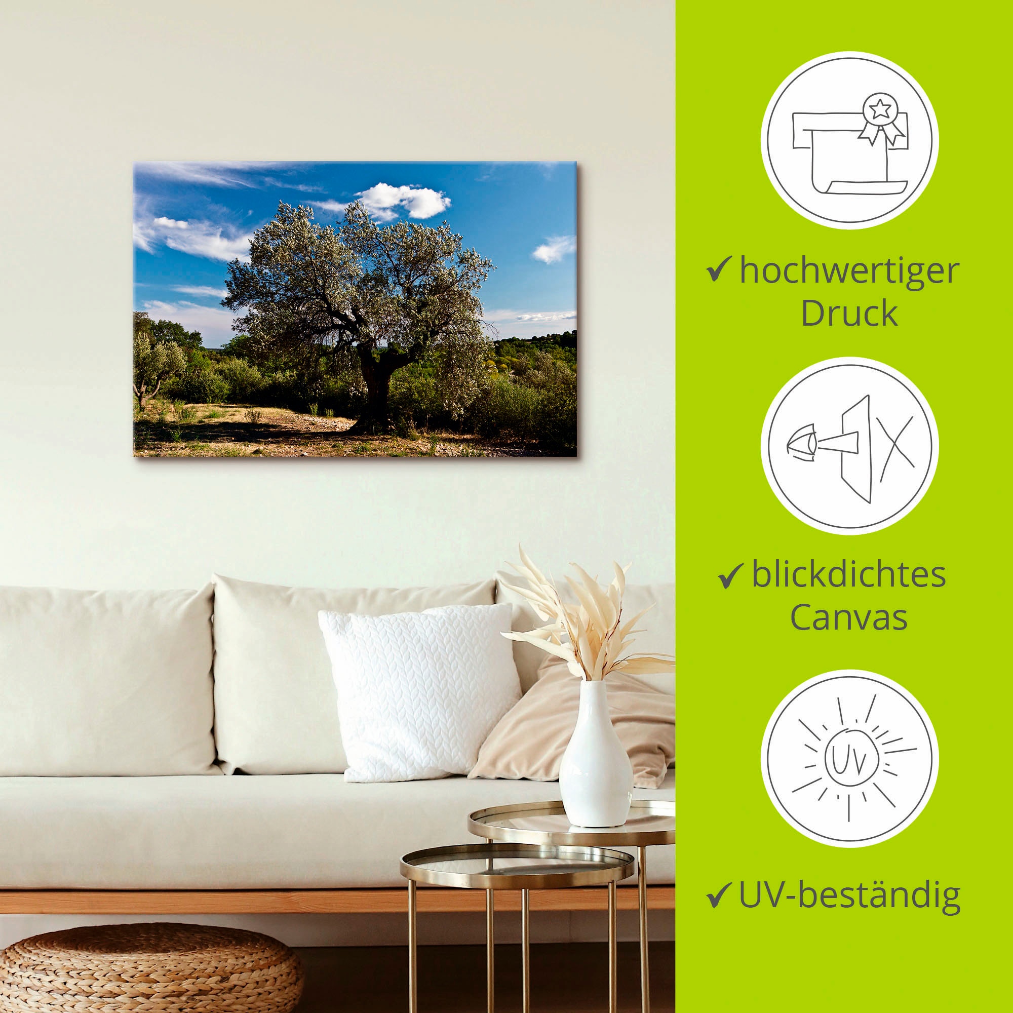 Artland Wandbild »Olivenbaum in Südfrankreich«, Bäume, (1 St.), als Alubild, Outdoorbild, Leinwandbild, Poster in verschied. Größen