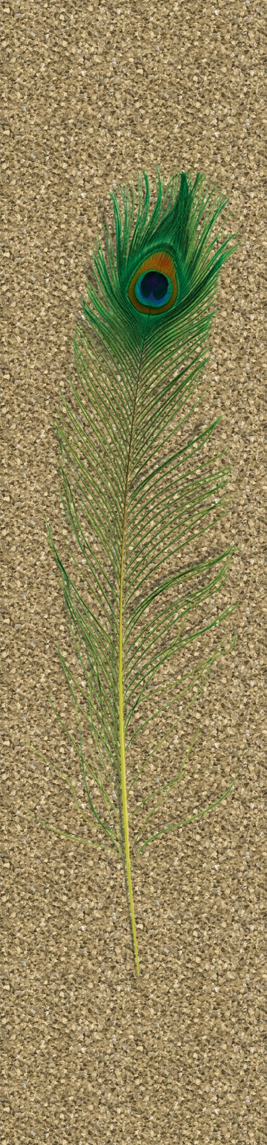 GLÖÖCKLER Vliestapete, B/L: 0,7m x 3,3m, Rollen: 1, grün, Wohnzimmer, Tapeten, moderne Tapete für Wohnzimmer Schlafzimmer Küche