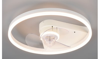 TRIO Leuchten LED Deckenleuchte »Borgholm«, mit Ventilator, Fernbedienung und... kaufen
