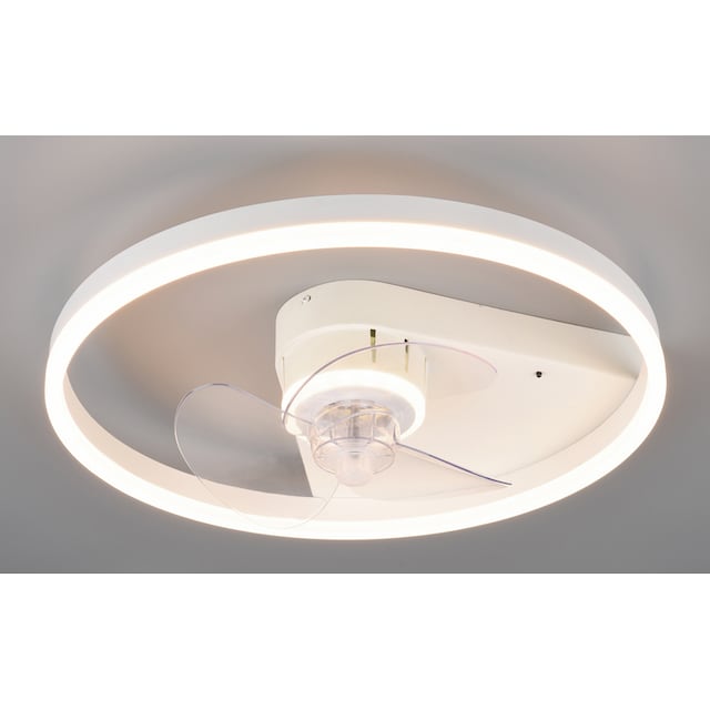 TRIO Leuchten LED Deckenleuchte »Borgholm«, mit Ventilator, Fernbedienung  und Timerfunktion. Lichtfarbe einstellbar, Nachtlicht. Leuchte und Ventilator  getrennt schaltbar bestellen | BAUR