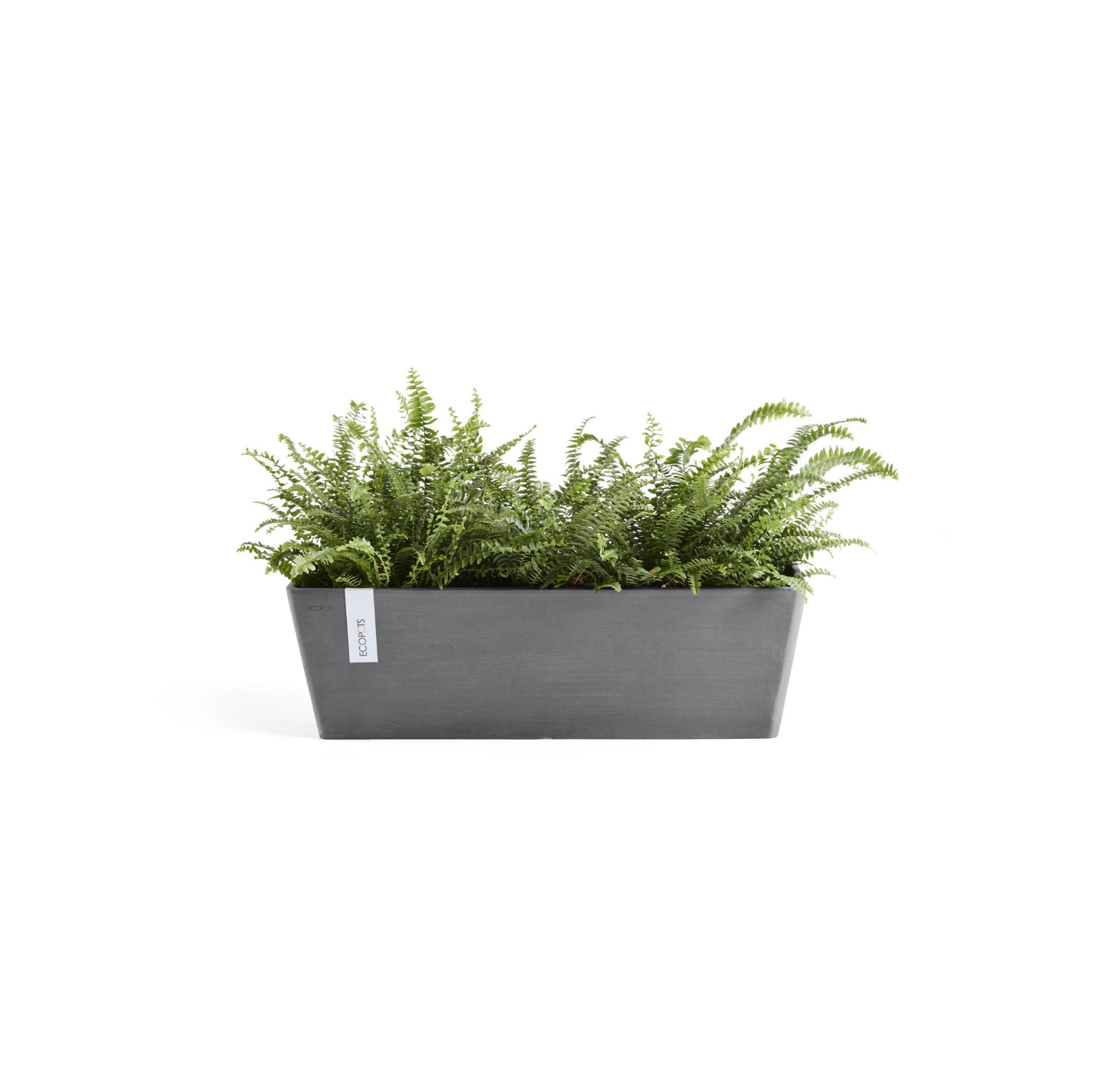 ECOPOTS Blumentopf »Bruges«, mit Wasserbehälter, BxTxH: 17x55x17 cm