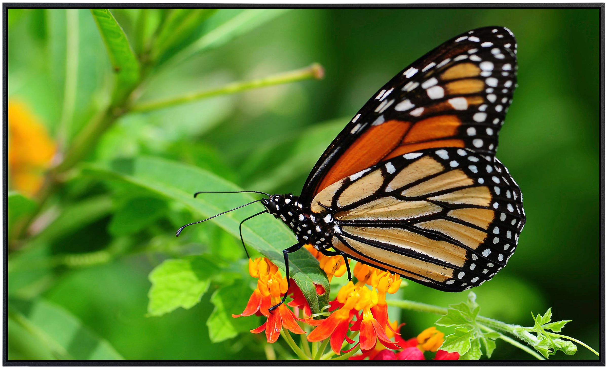 Papermoon Infrarotheizung »Schmetterling«, sehr angenehme Strahlungswärme