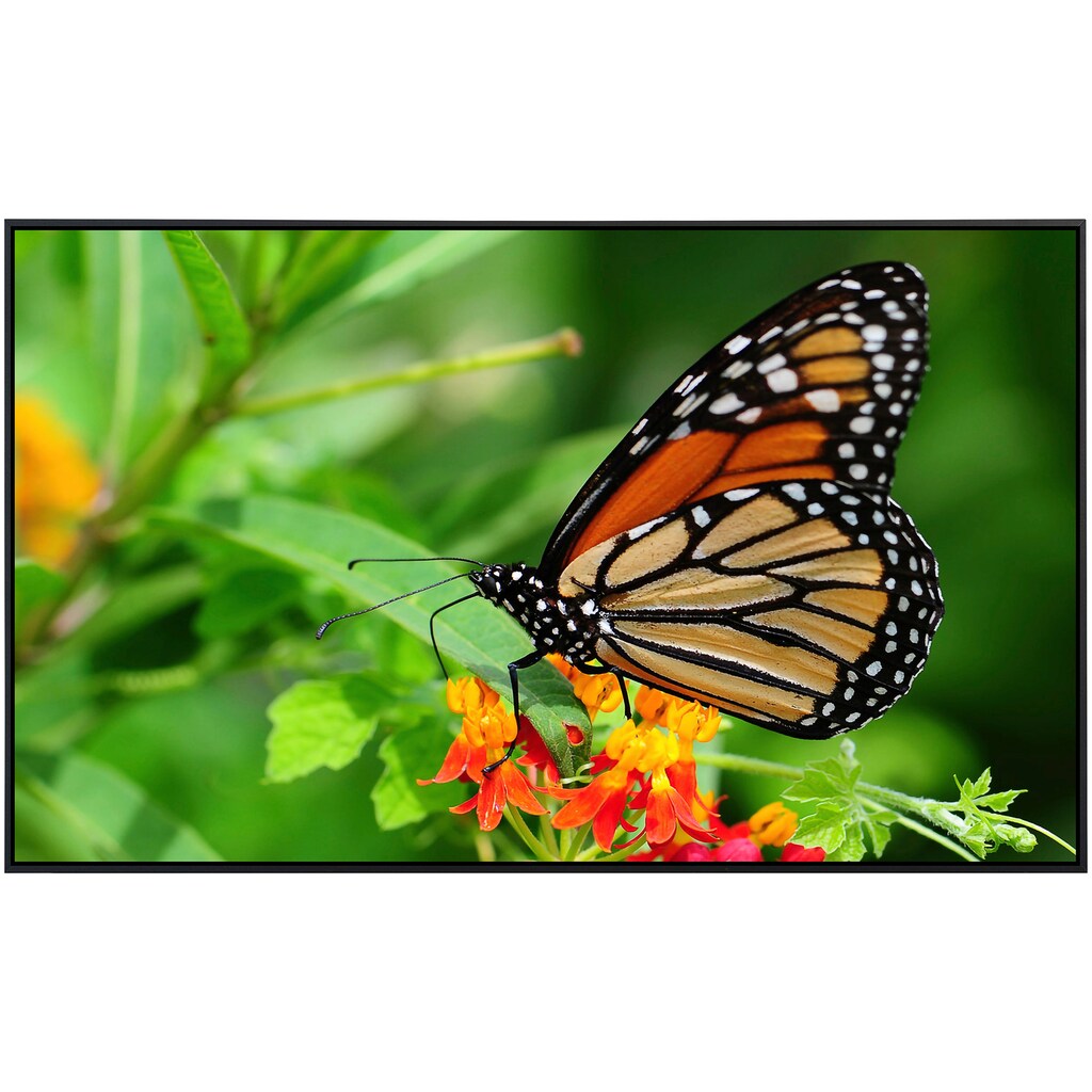 Papermoon Infrarotheizung »Schmetterling«
