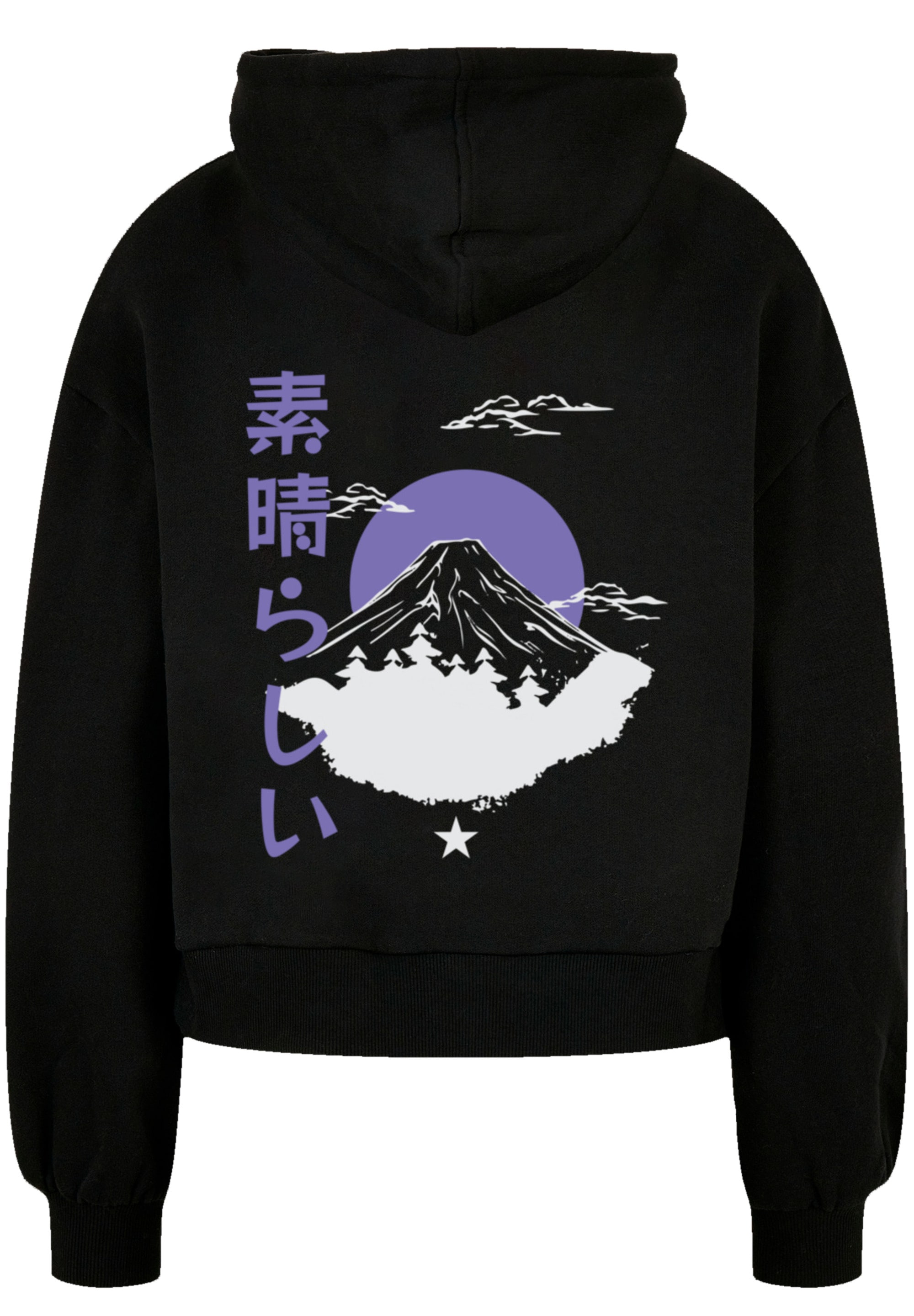 F4NT4STIC T-Shirt »Mount Fuji«, Print