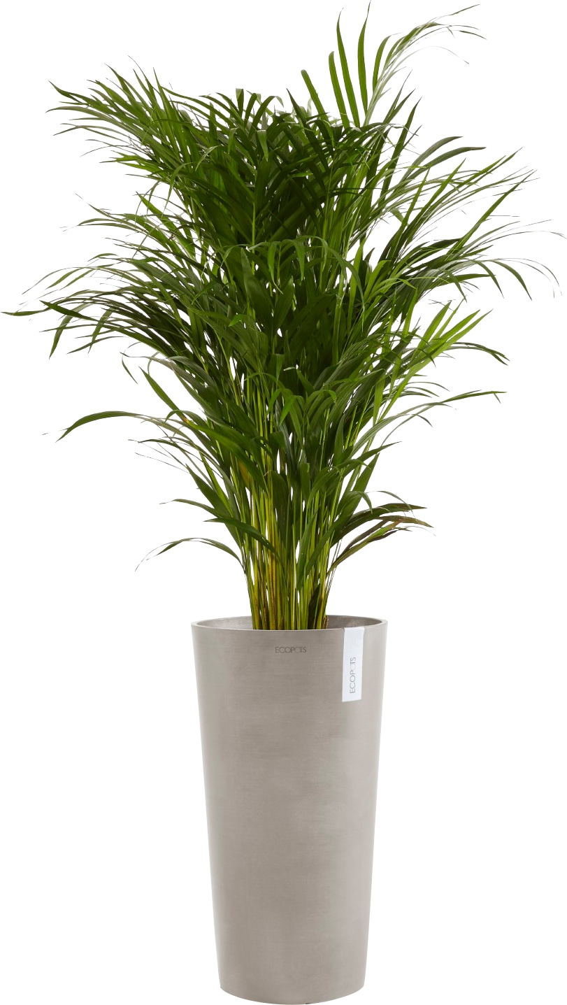 ECOPOTS Blumentopf »AMSTERDAM MID HIGH Taupe«, BxTxH: 34x34x66 cm