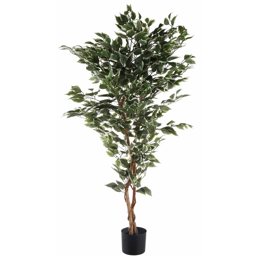 Kunstpflanze »Ficus Benjamini«