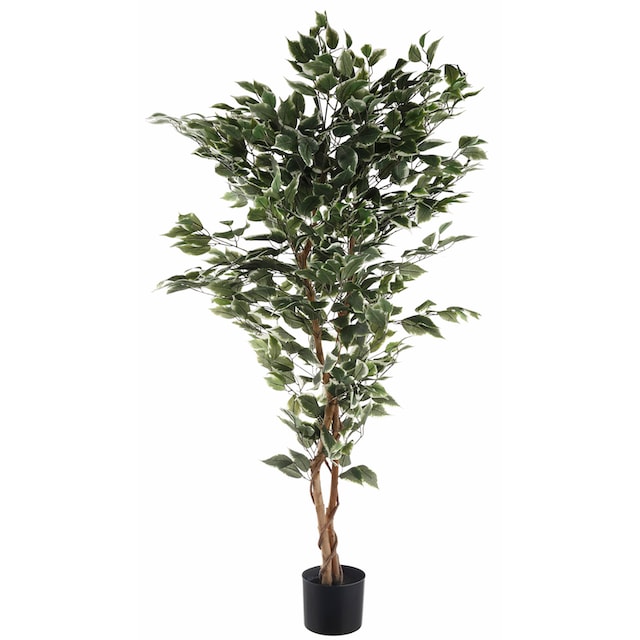 Creativ green Kunstpflanze »Ficus Benjamini« kaufen | BAUR