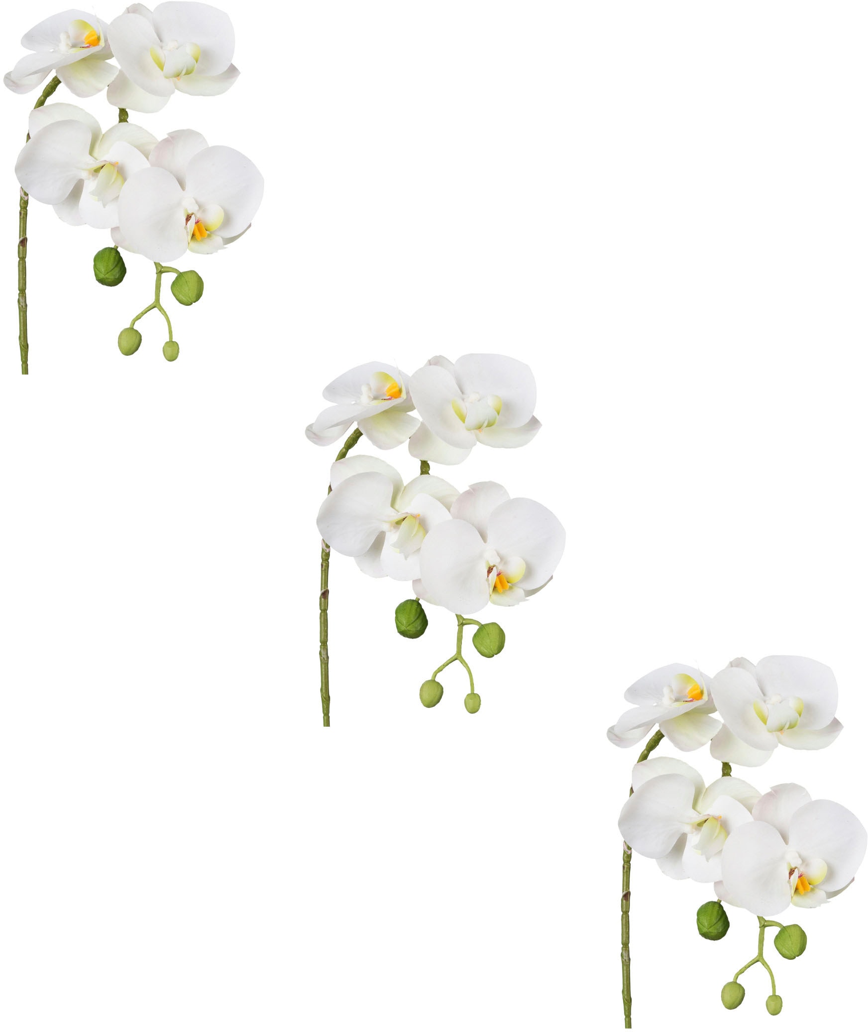 Creativ green Kunstblume "Phalaenopsis 3D-print", mit Real-Touch-Blüten günstig online kaufen