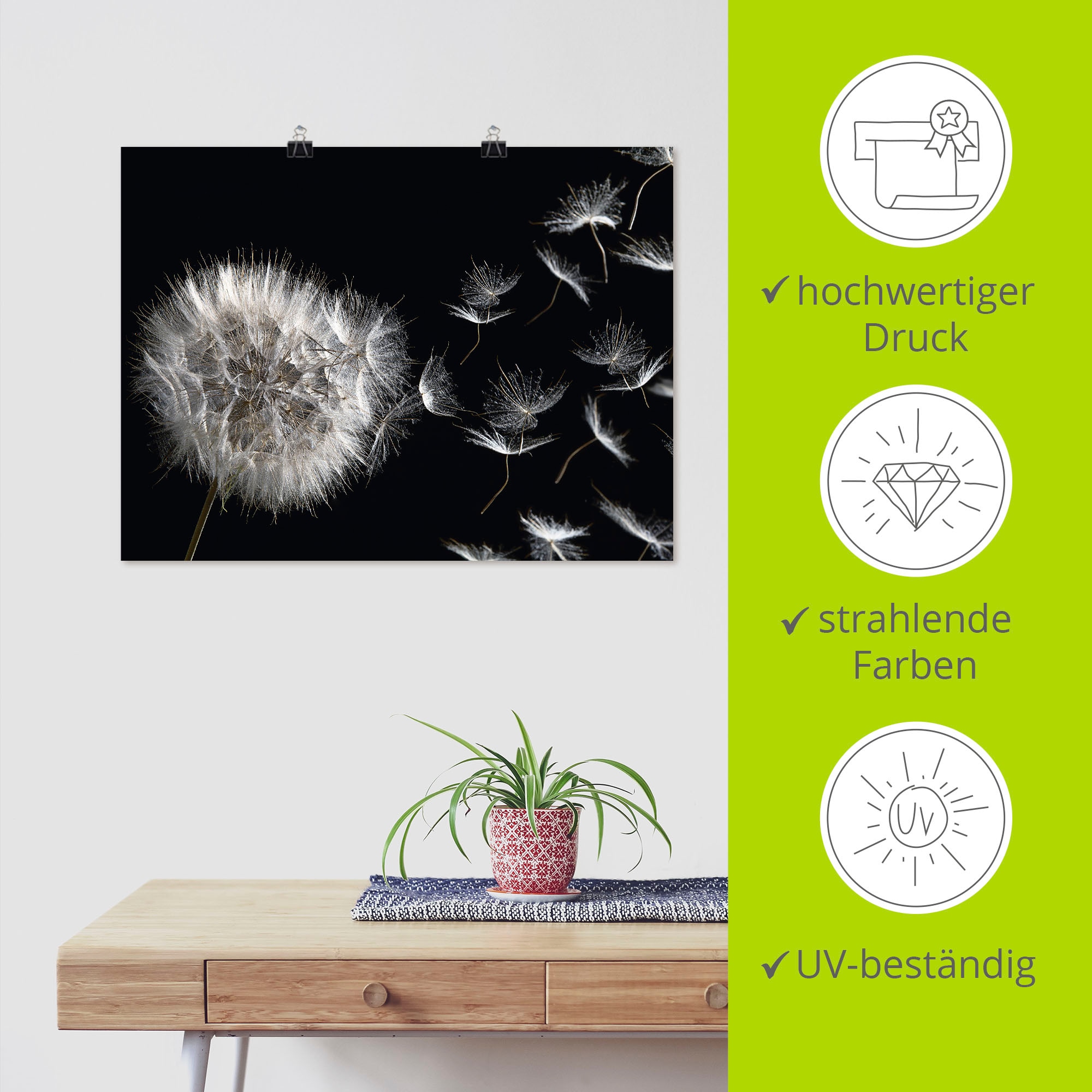 Artland Wandbild »Pusteblume«, Blumenbilder, (1 St.), als Alubild, Outdoorbild, Leinwandbild, Poster, Wandaufkleber