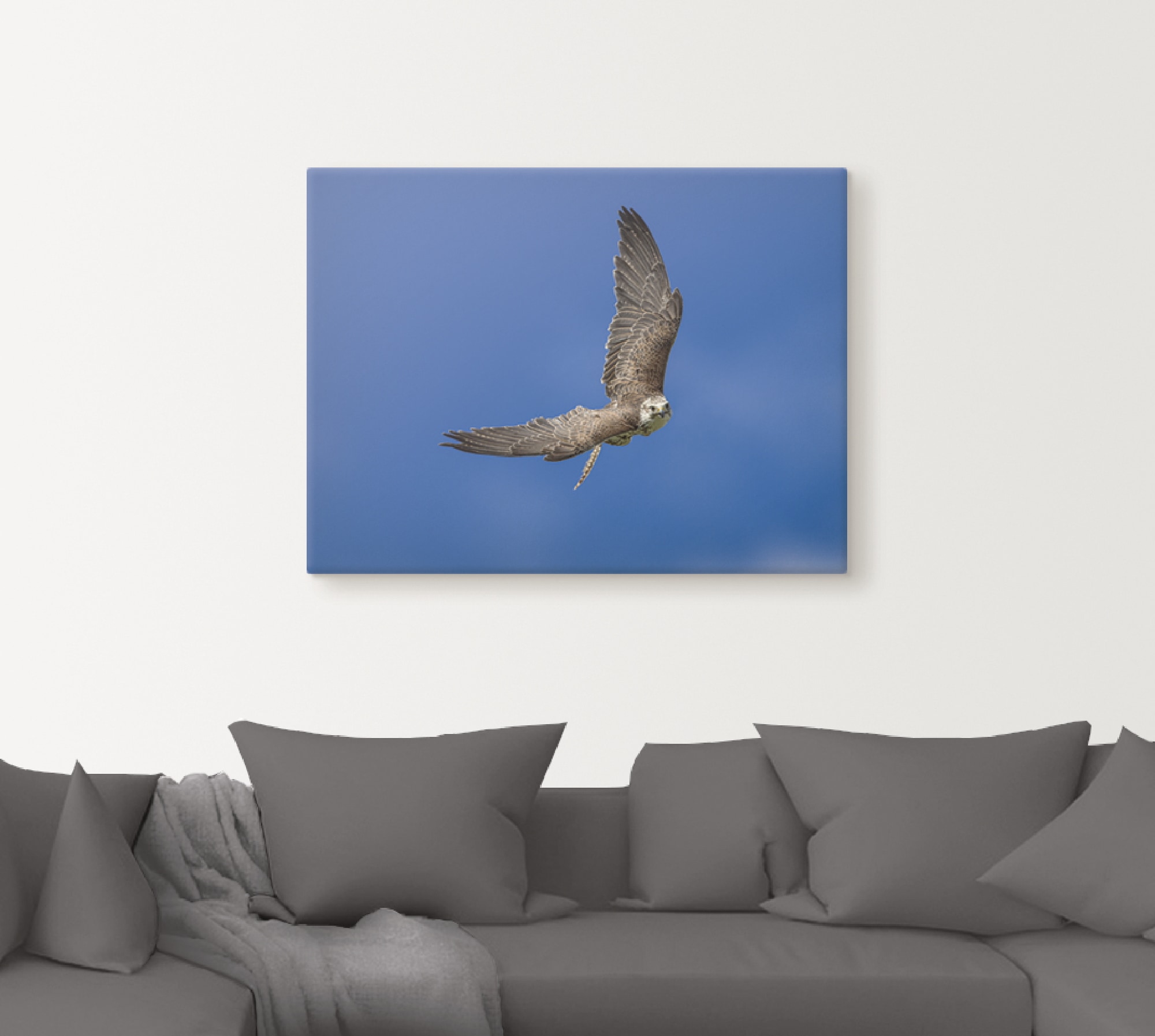 Artland Wandbild »Der Falke«, Vögel, (1 St.), als Leinwandbild, Poster in verschied. Größen