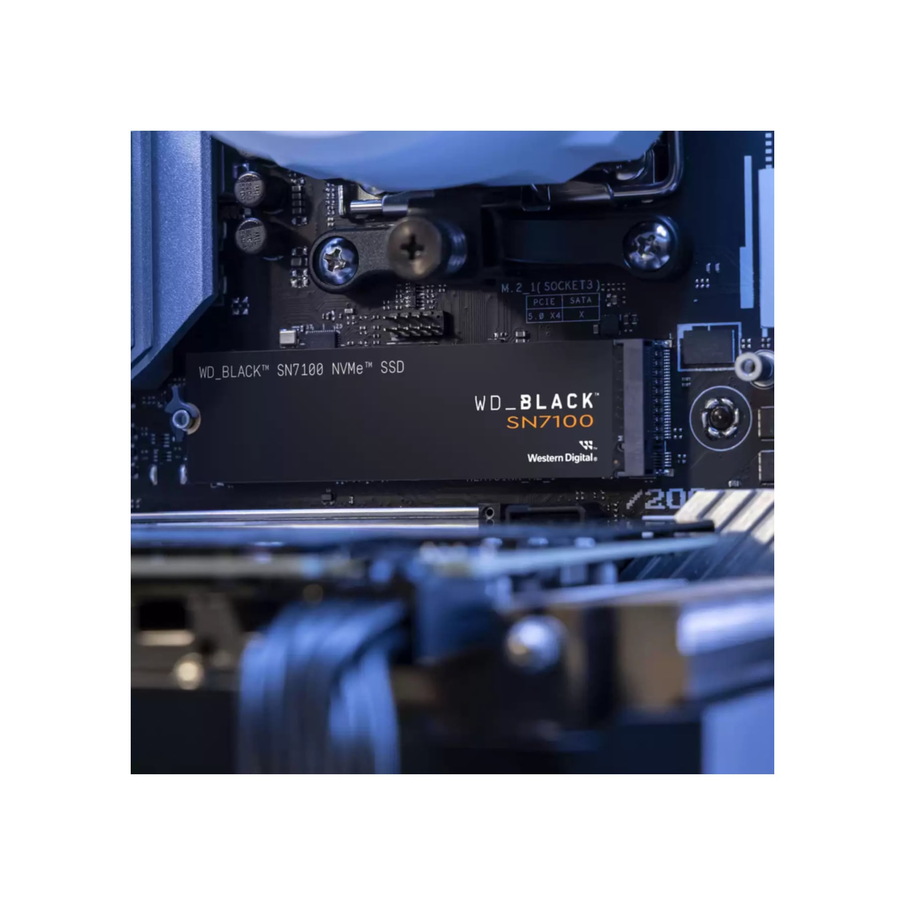 Sandisk interne SSD »SN7100«