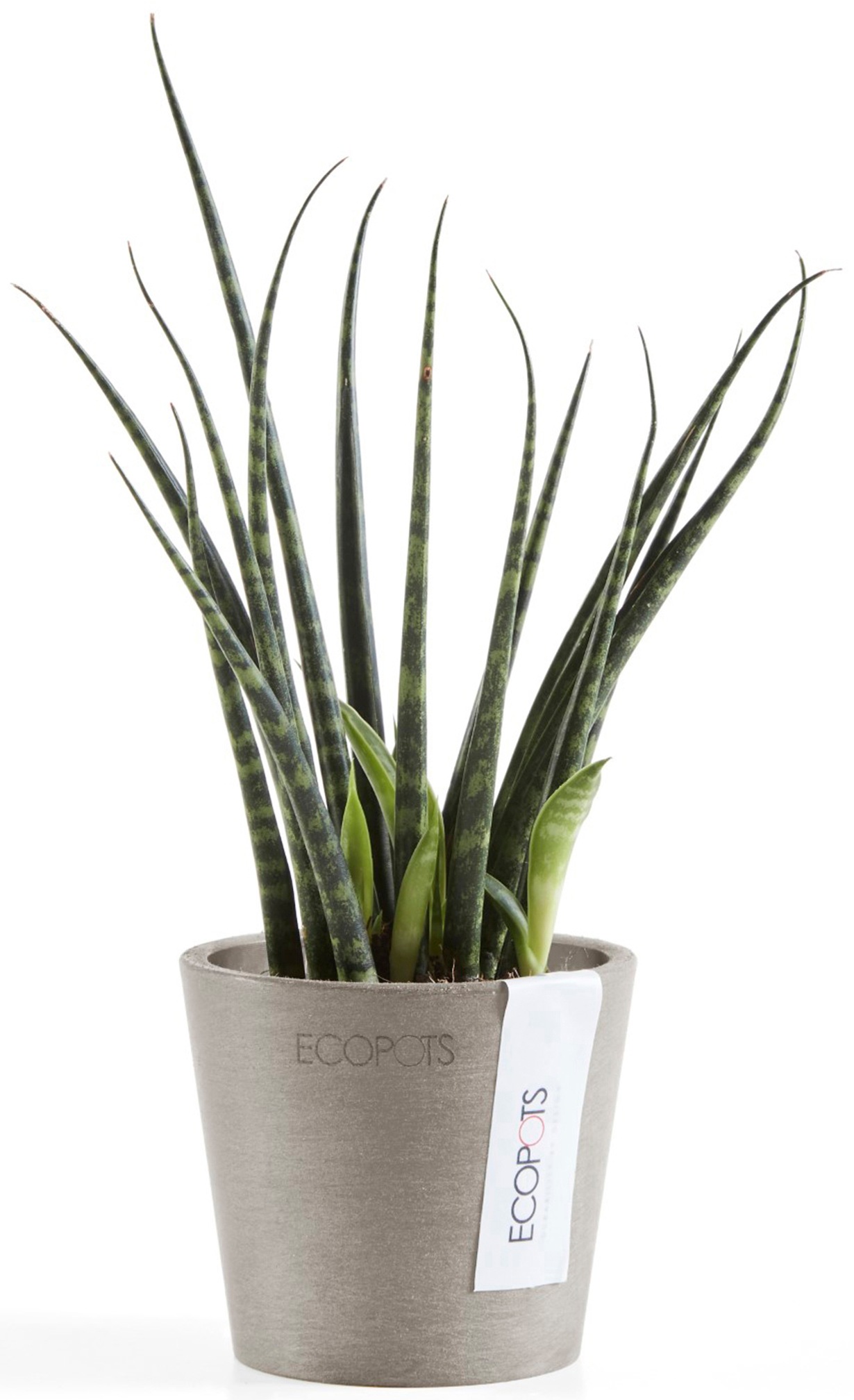ECOPOTS Blumentopf »Amsterdam Mini 8 Taupe«, für den Innenbereich