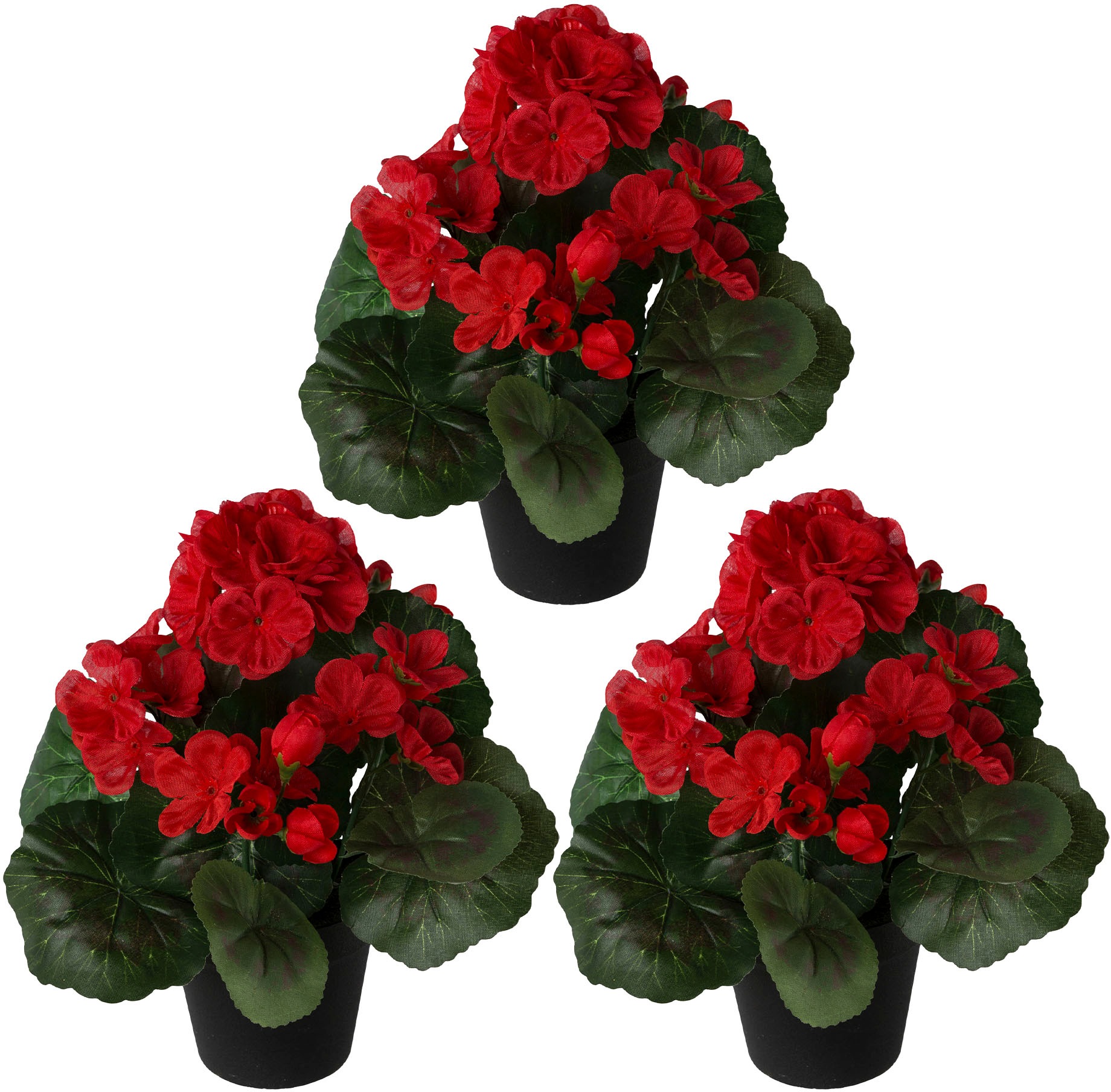 Creativ green Kunstpflanze »Geranie«, (3 St.), im 3er Set kaufen
