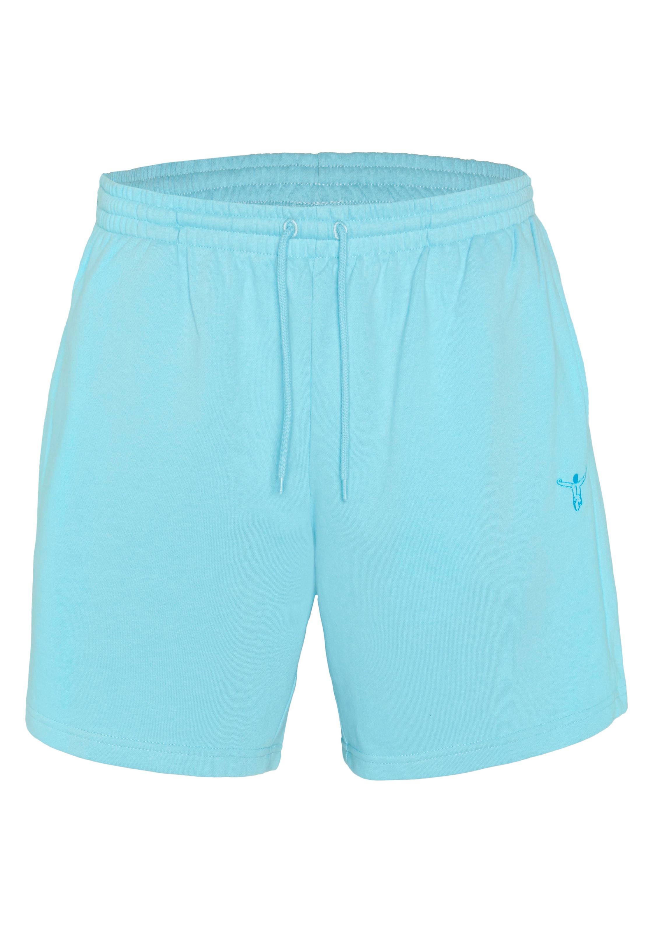 Shorts CHIEMSEE, Herren, Gr. S (44/46), Normalgrößen, tropical breeze, 80% Baumwolle, 20% Polyester, Hosen Shorts
