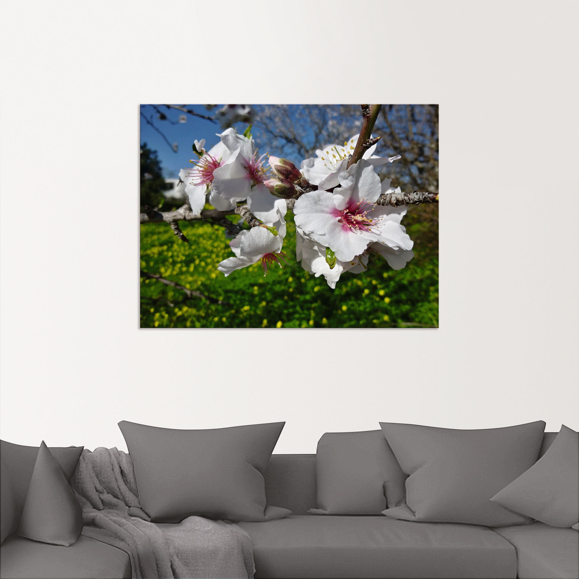 Artland Wandbild »Mandelbluete an der Algarve in Portugal«, Baumbilder, (1 St.), als Alubild, Leinwandbild, Wandaufkleber oder Poster in versch. Größen