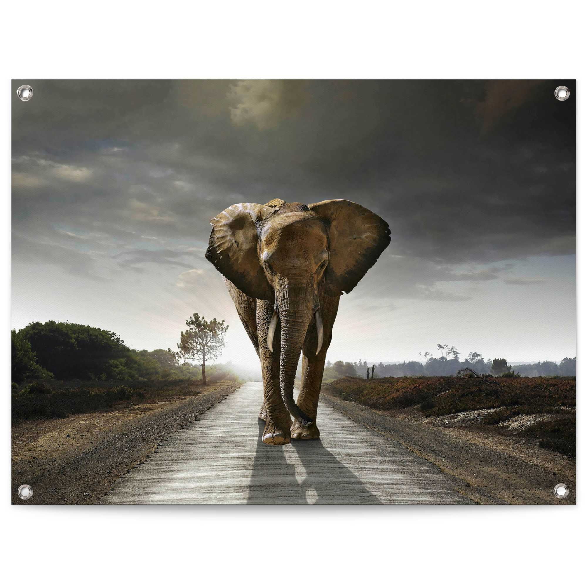 Reinders! Poster »Elefantenkönig«, Outdoor für | Balkon Garten kaufen oder BAUR