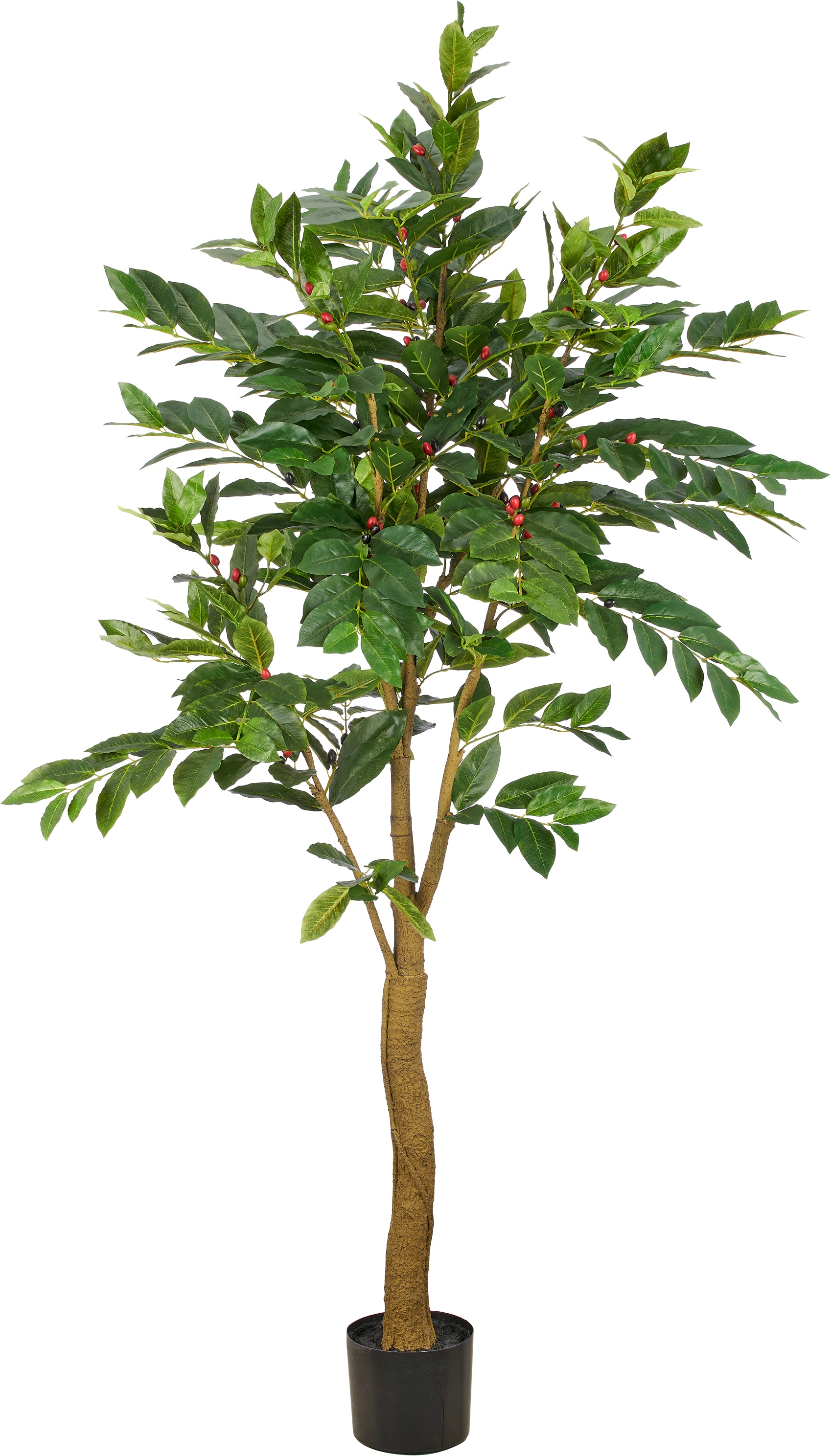 Creativ green Kunstbaum "Coffea" mit Deko-Früchten