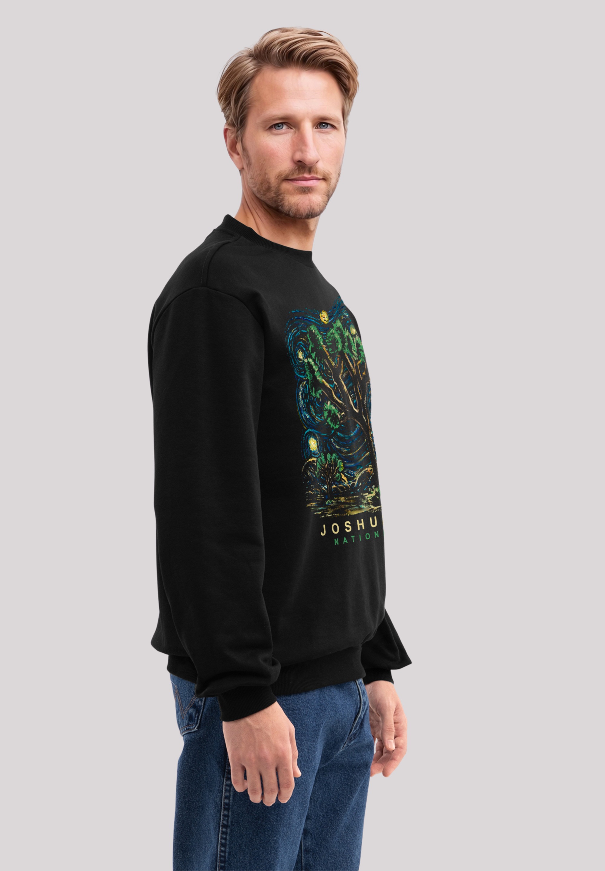 F4NT4STIC Sweatshirt »US National Parks Joshua Tree Oil On Canvas Style«, Premium Qualität