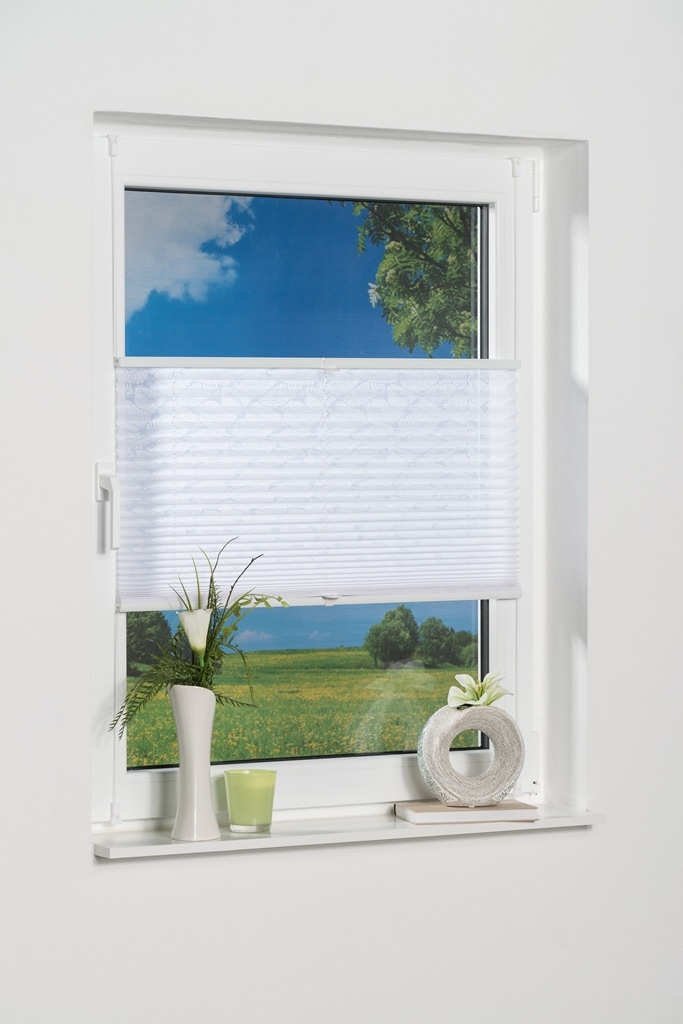 K-HOME Plissee "Capri" Lichtschutz ohne Bohren Ausbrennerstoff günstig online kaufen