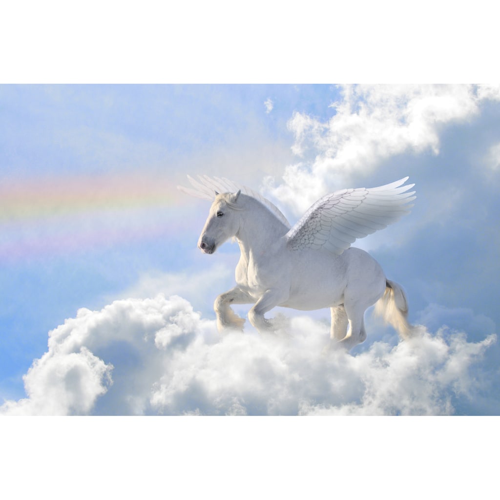 Papermoon Fototapete »Pegasus in the Clouds«