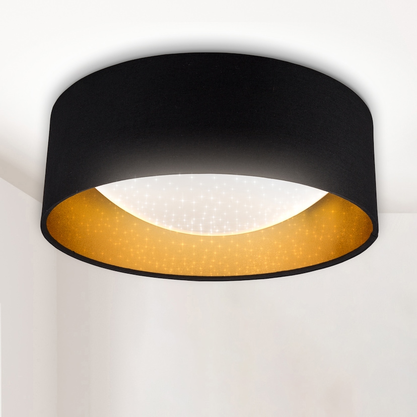 Paulmann LED Panel »Abia«, 1 flammig-flammig kaufen | BAUR