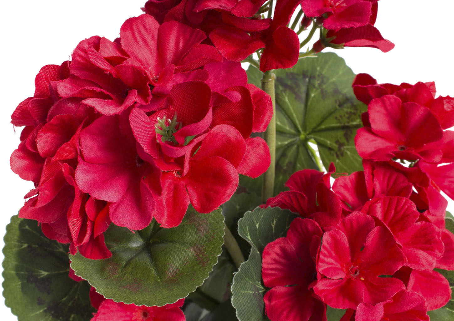 Botanic-Haus Kunstblume „Geranienbusch mit 6 Blütenköpfen“ rot Rabatt: 29 %